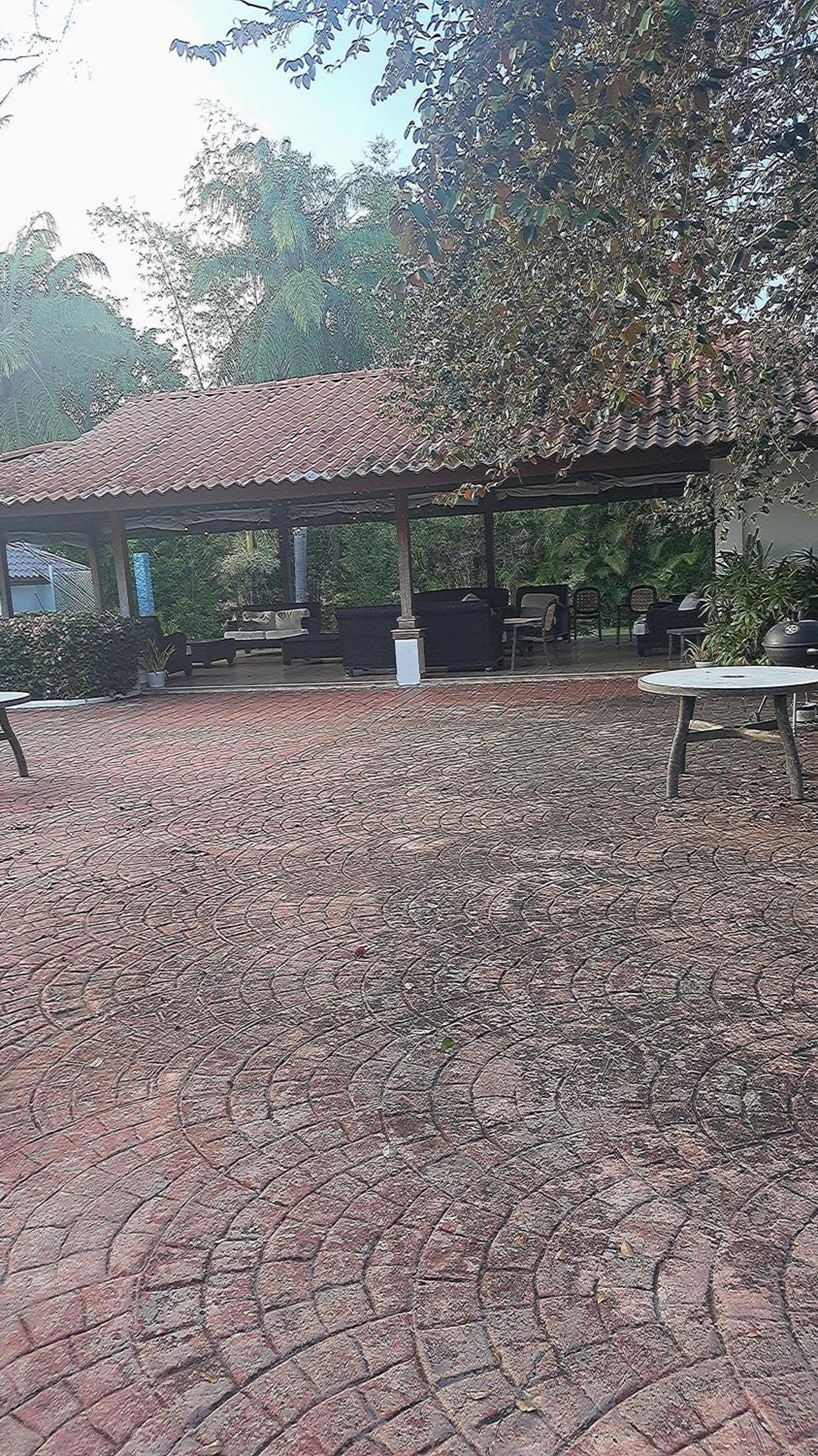 Los corozos Guababerry