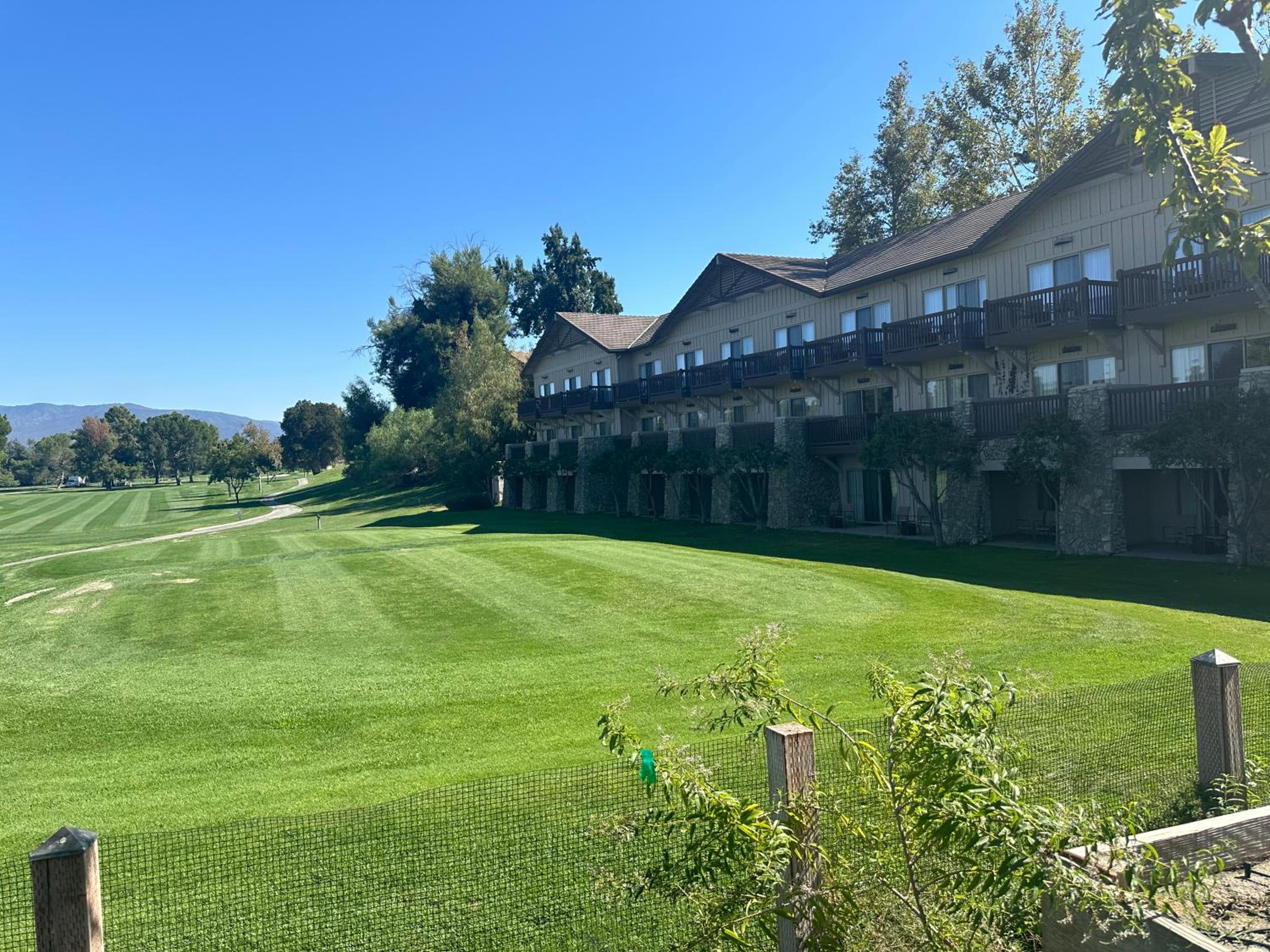 Hotel Balloons and Wine - Image 1