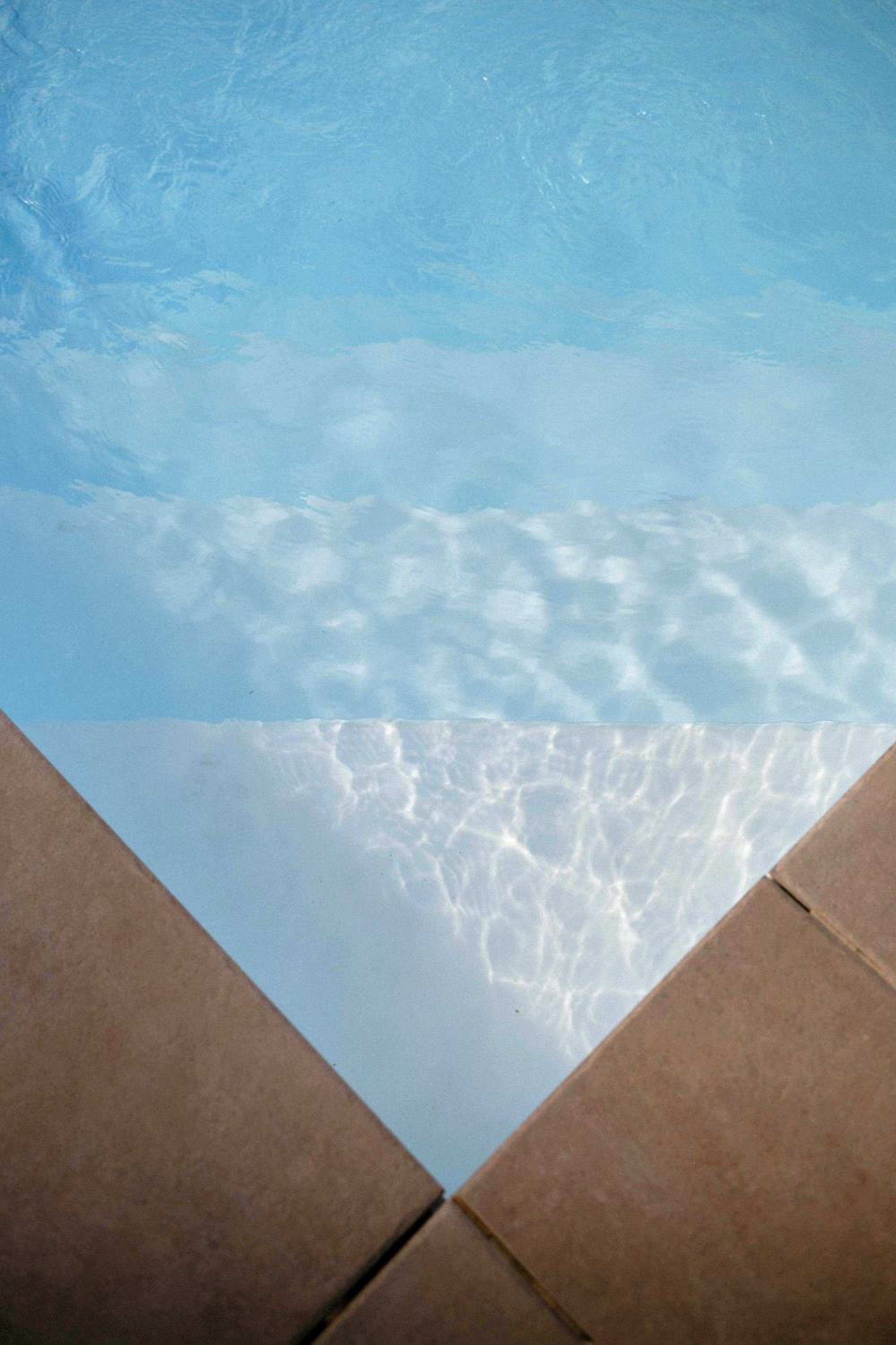 Photo 297