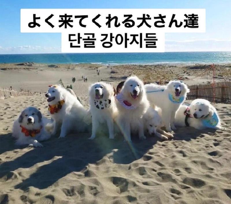 Plage Yuigahama