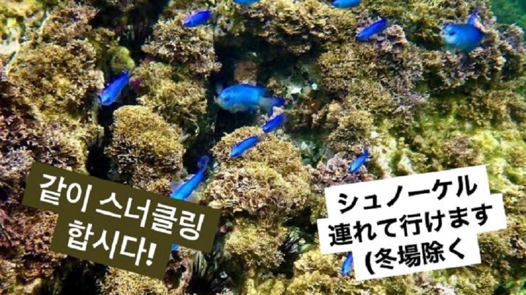 Plage Yuigahama