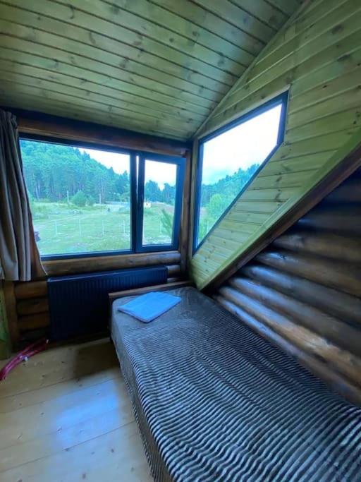Bolta Resort