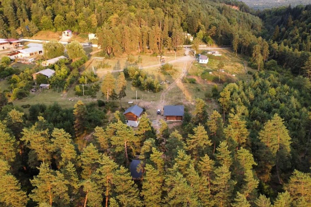 Bolta Resort
