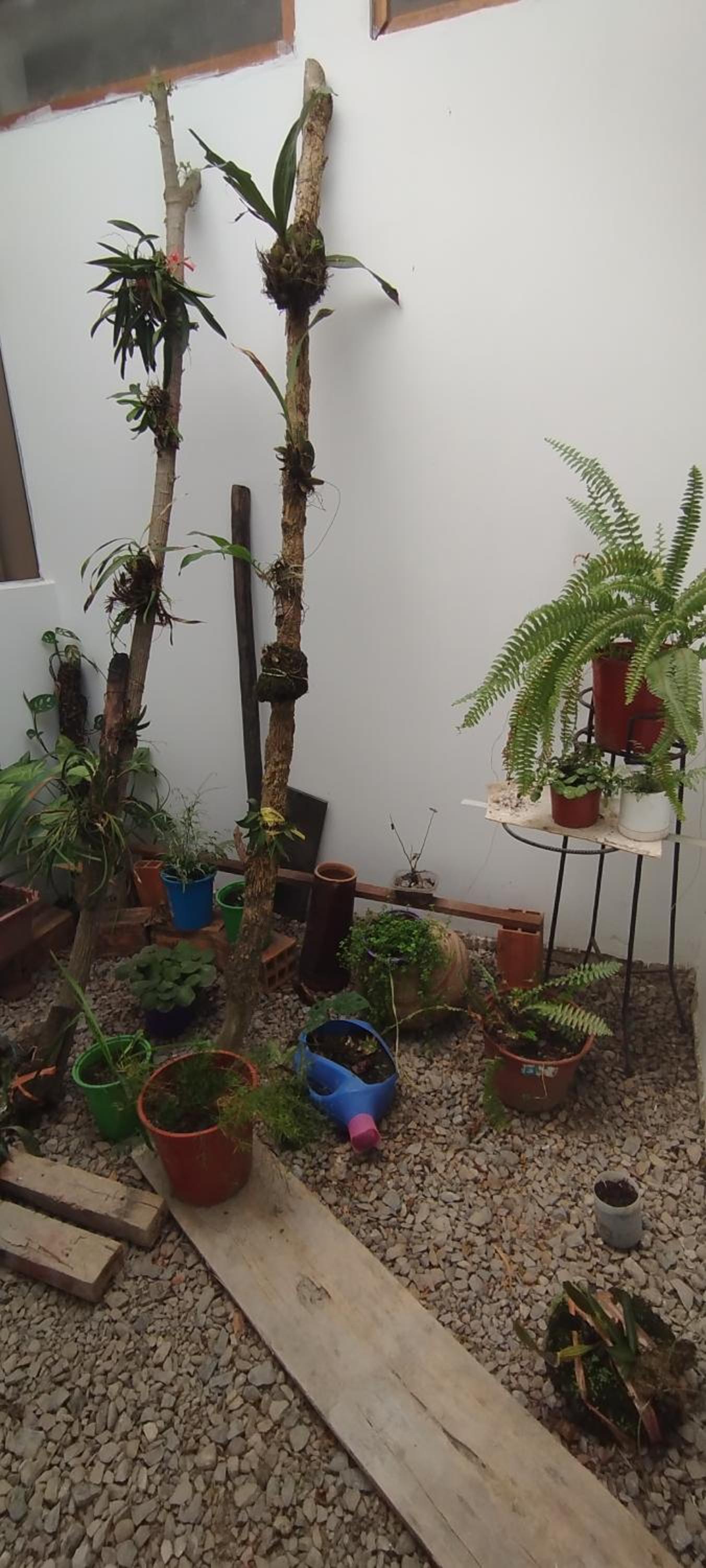 BACHÍG Hospedaje, photo 84