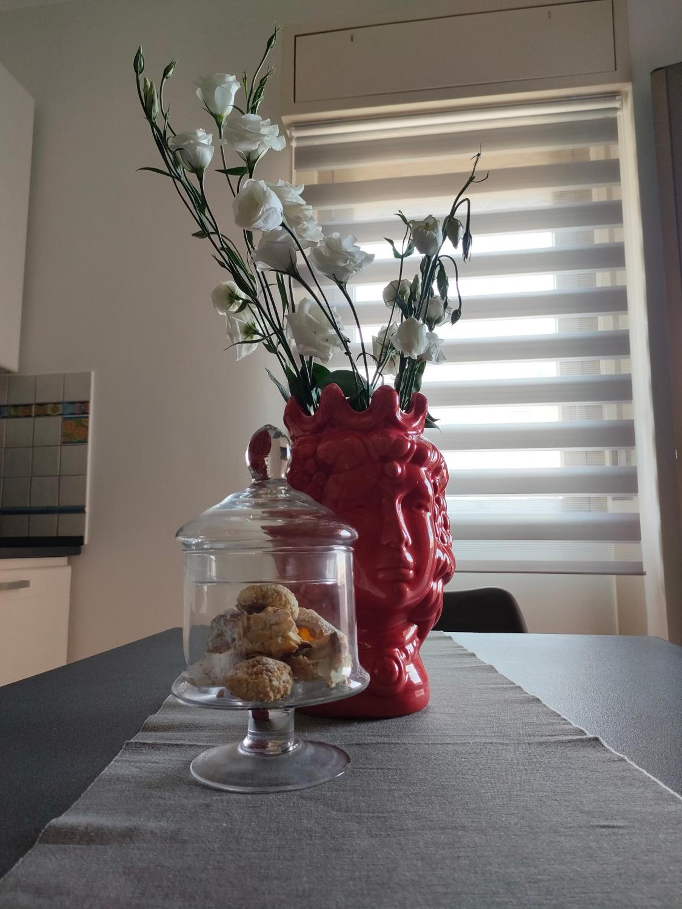 D'Amelio Sweet Home