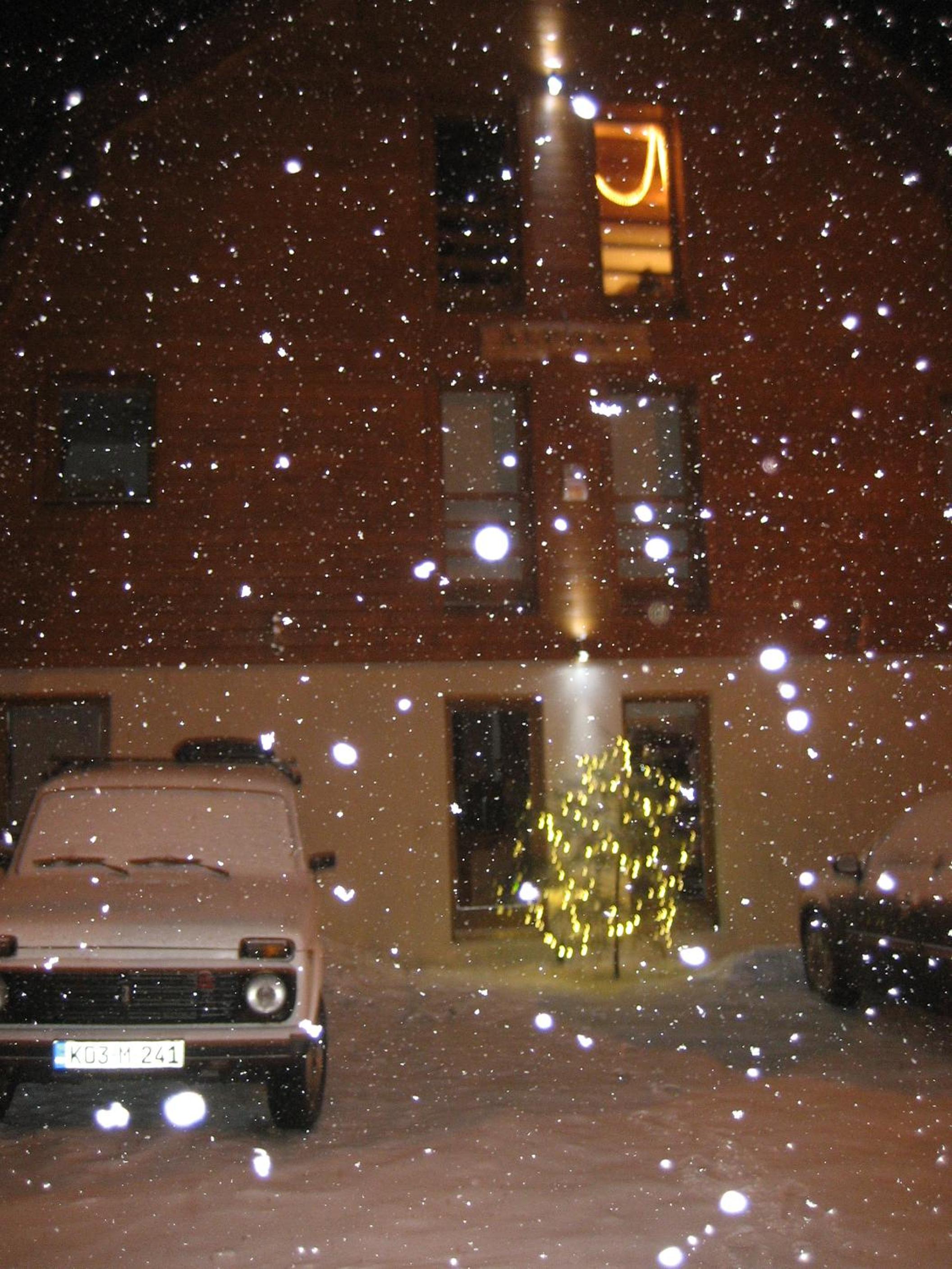 Photo 44