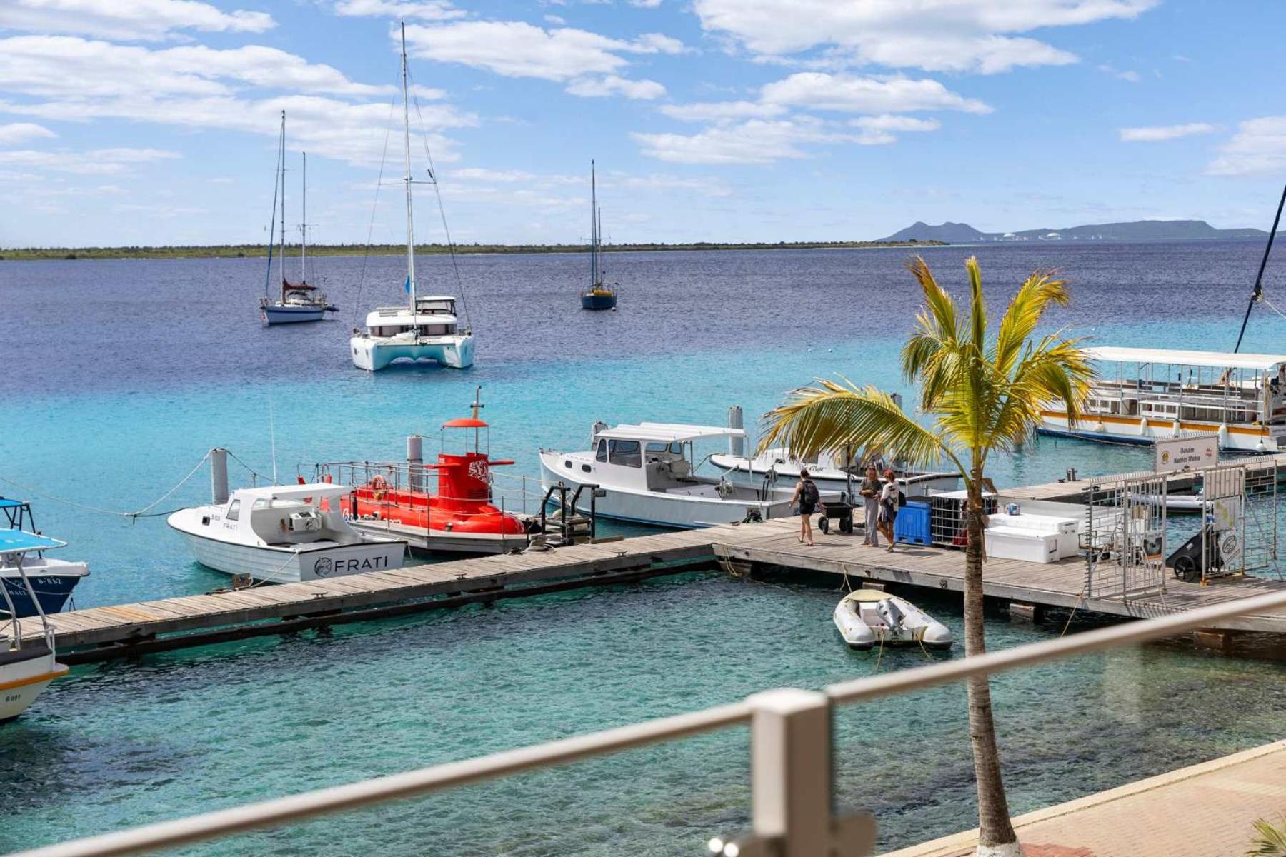 Seaview Caribe with fantastic sea views and close to the best restaurants