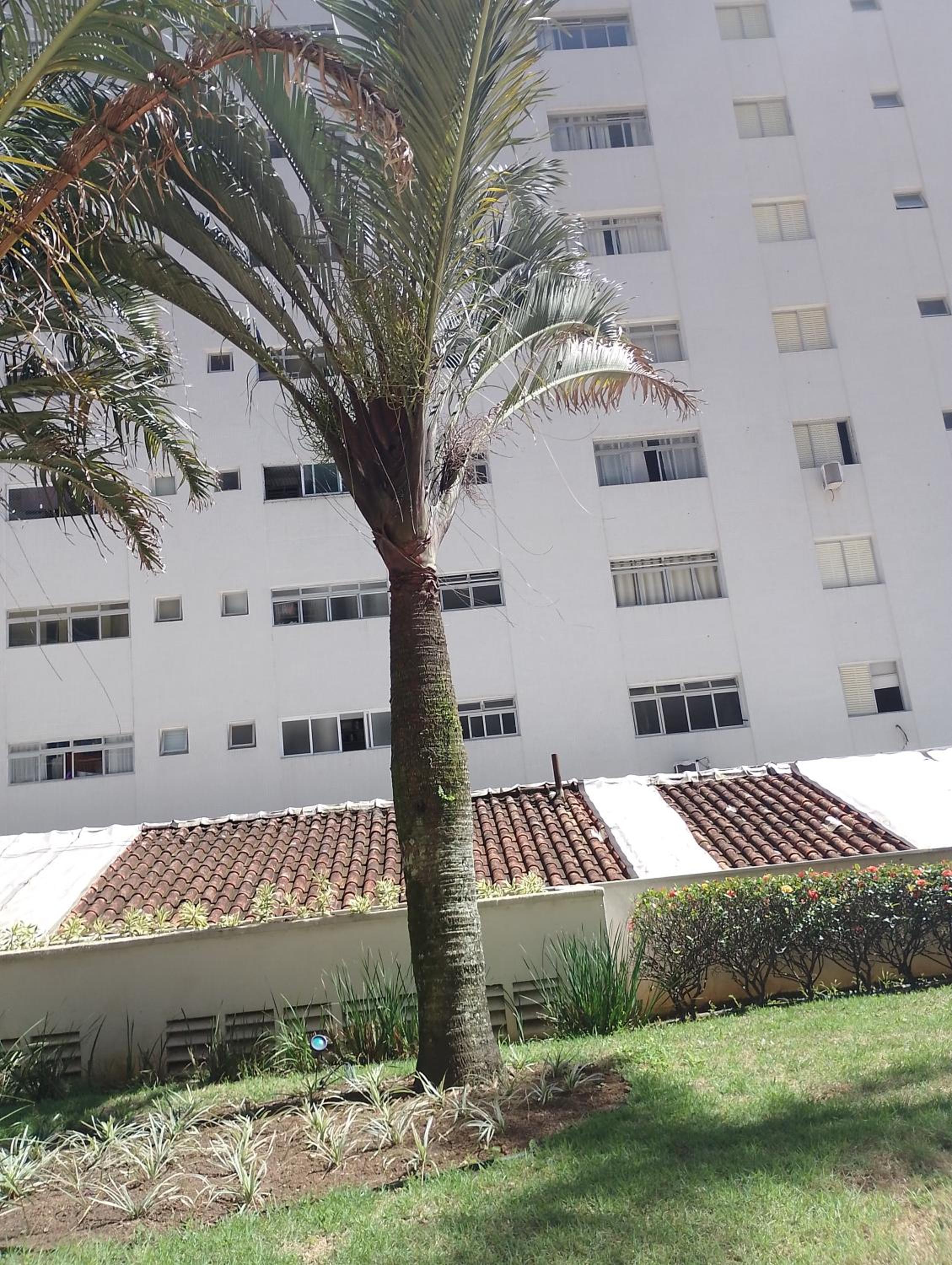 Edificio Mareas 50 metros da Praia Asturias