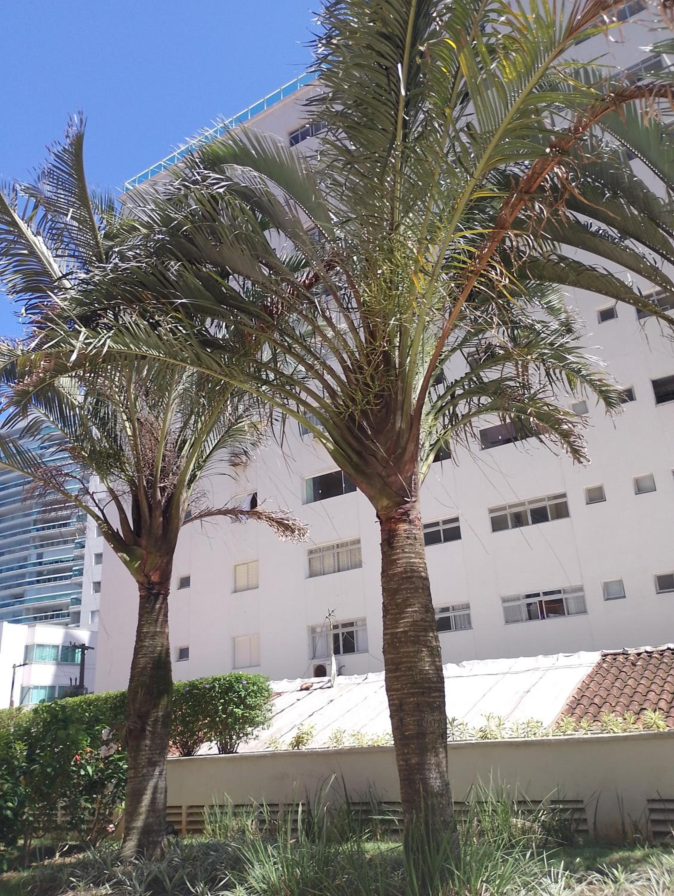 Edificio Mareas 50 metros da Praia Asturias