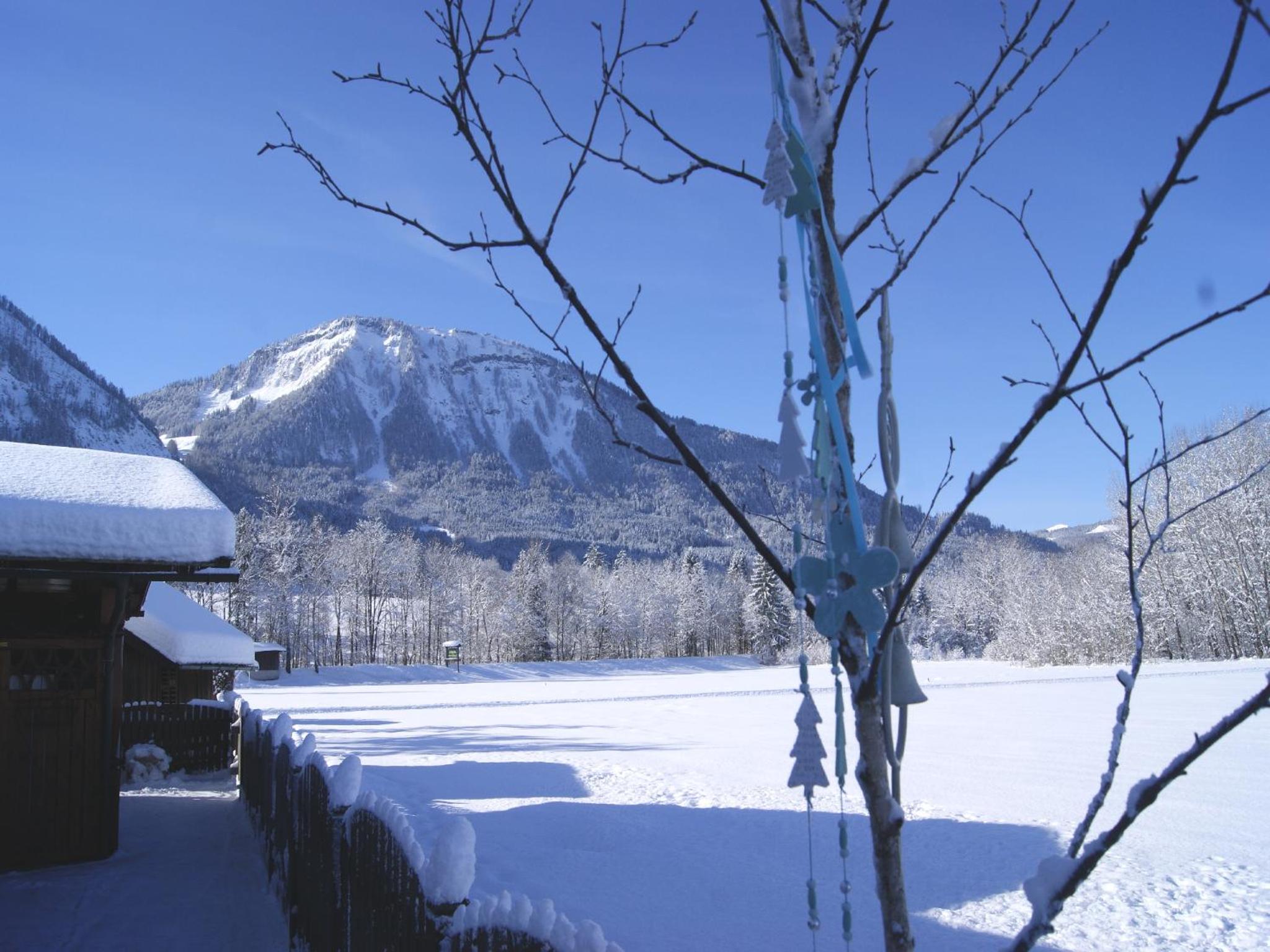 Apartment Nähe Wolfgangsee Salzkammergut