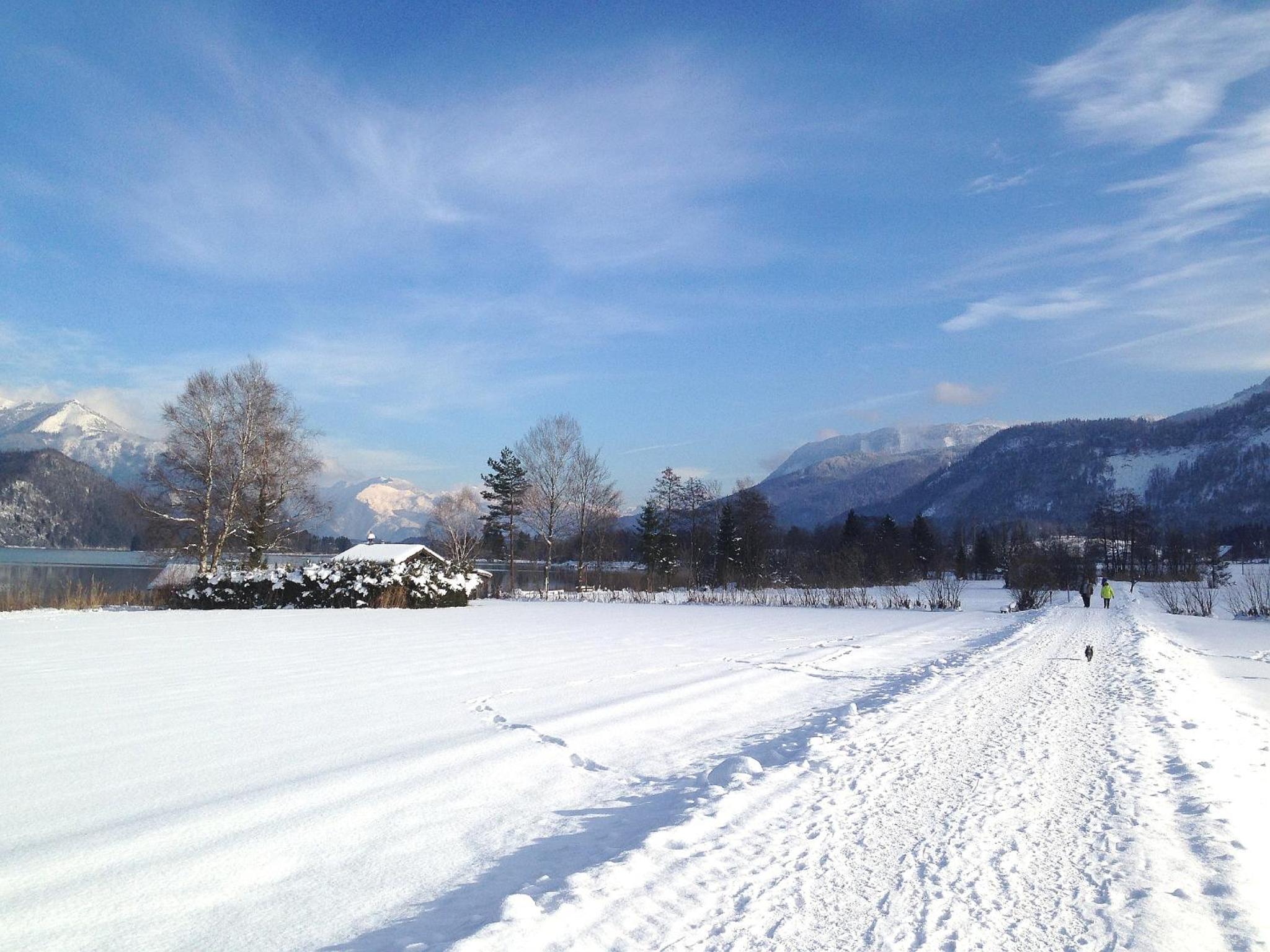 Apartment Nähe Wolfgangsee Salzkammergut