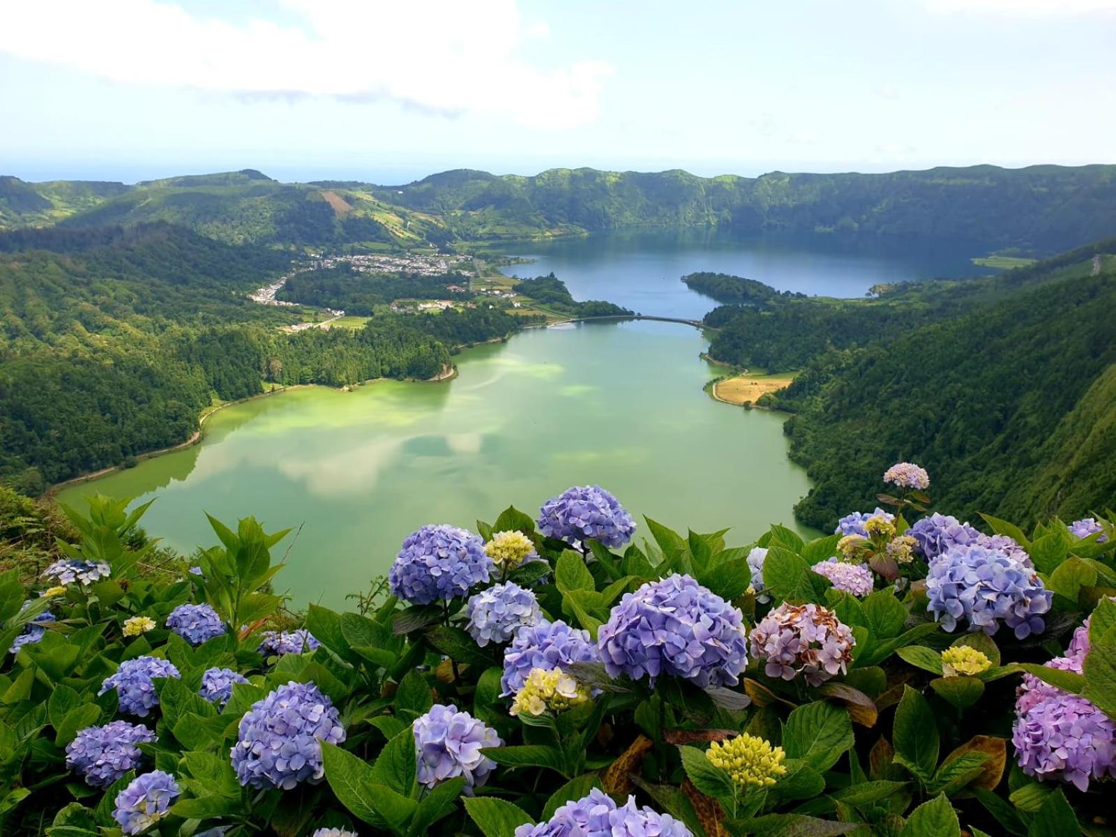 Praia - Boutique Garden Ocean View Suite in the Countryside - Vila Pilar