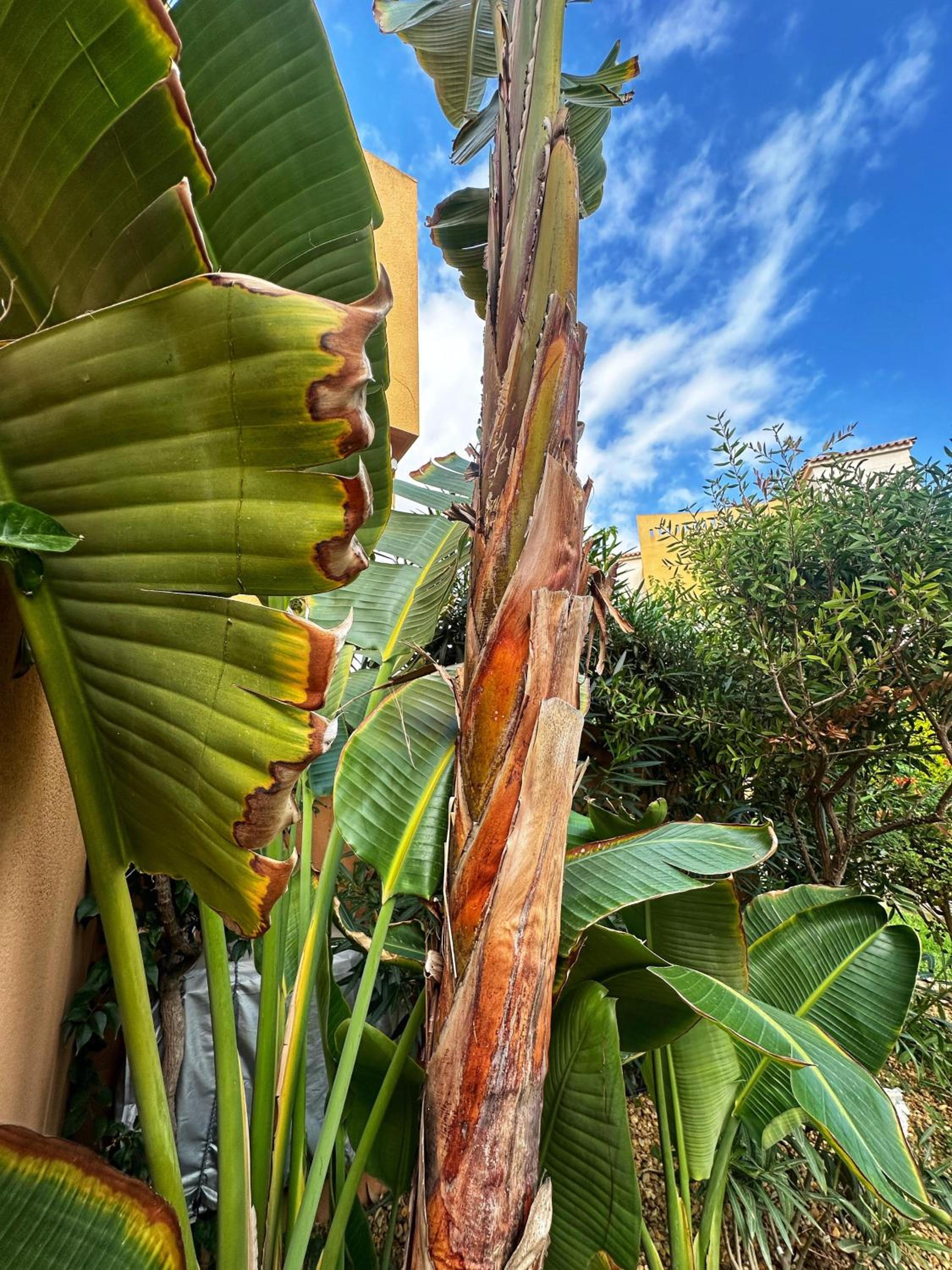 Indalia Natura, apartamento nudista en Vera playa photo 3