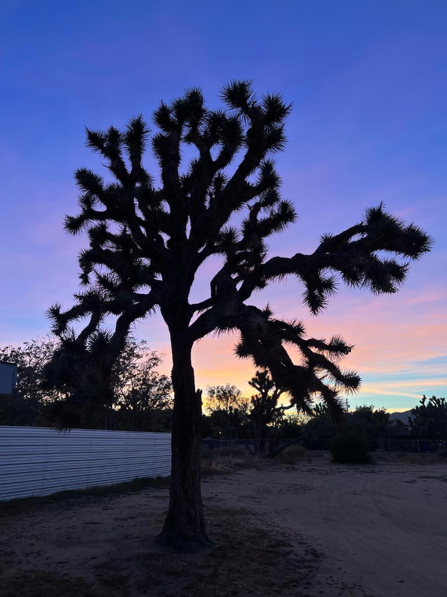 Quail Spirit Homestead view 2