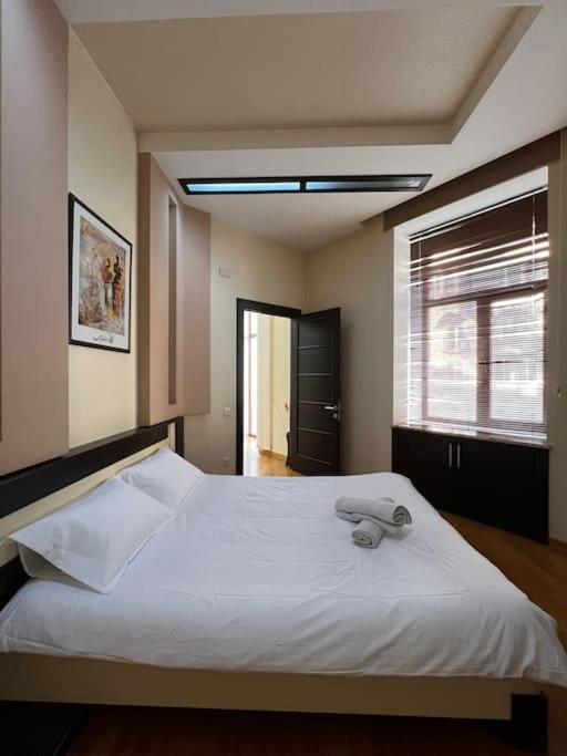 Cozy City Center Apartment