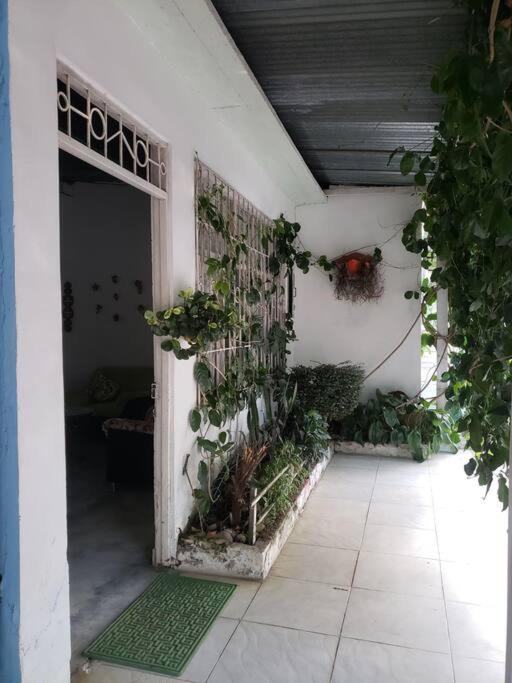 Agradable estancia en Mesetas