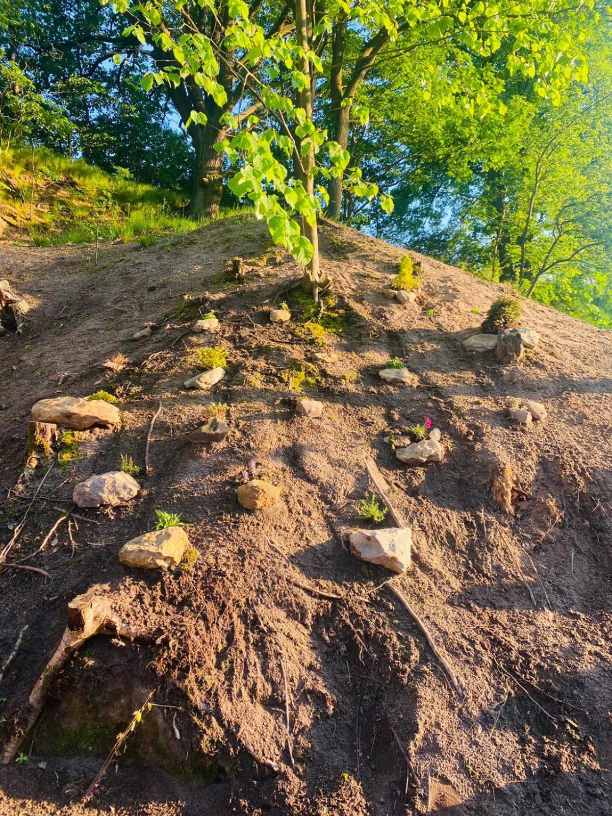 Glamping Máchův kraj