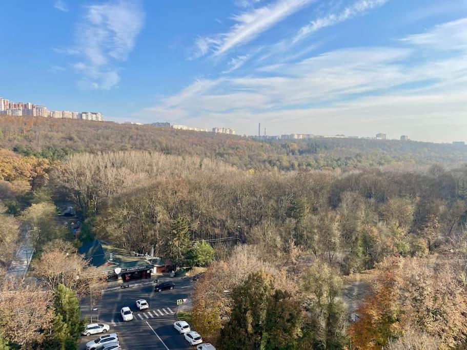 Coliseum Palace Panorama View