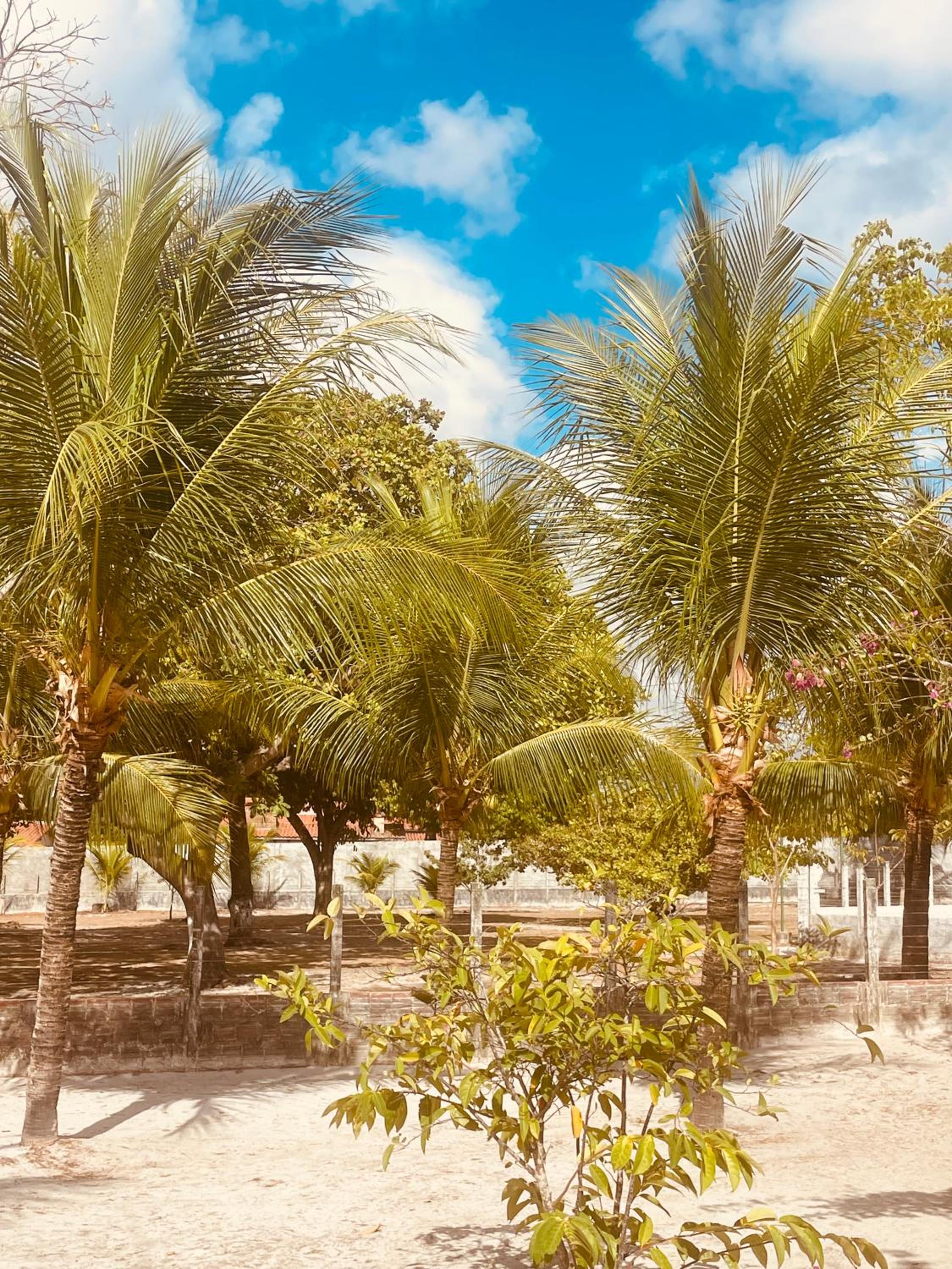 Pindoretama sitio