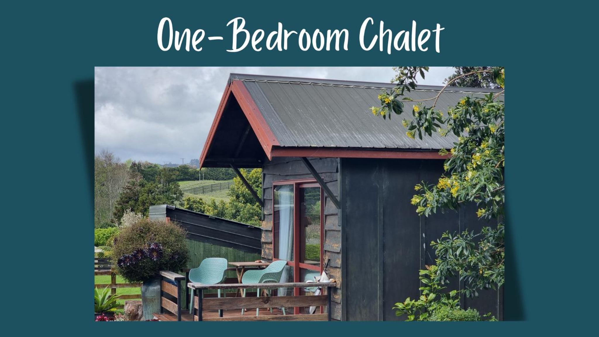 Swiss-Kiwi Cottage and Retreat, B&B view 2
