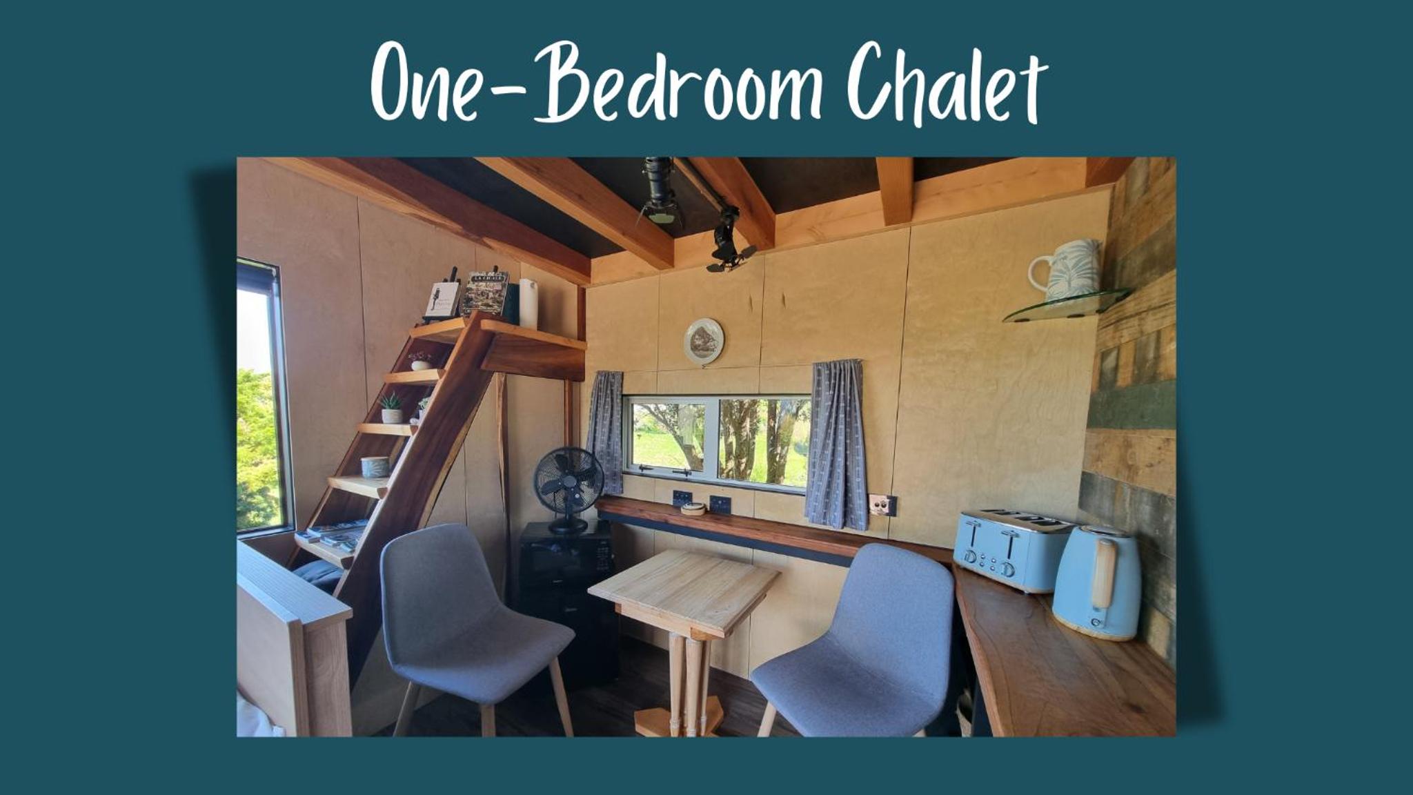 Swiss-Kiwi Cottage and Retreat, B&B view 5