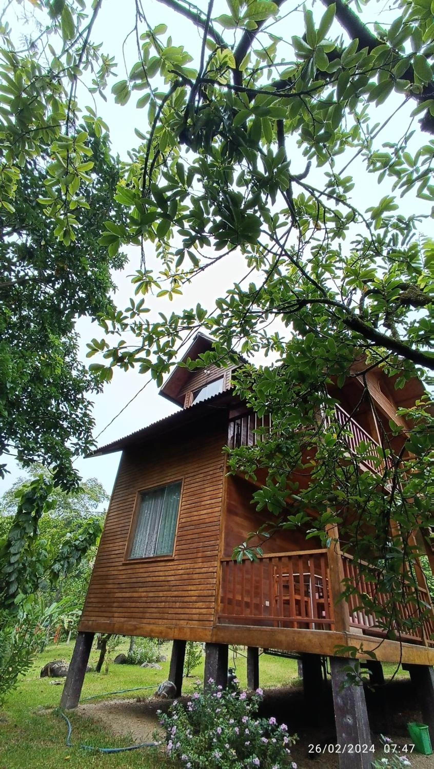 Ecolodge Don Felix