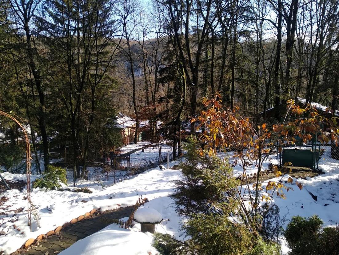 Photo 41