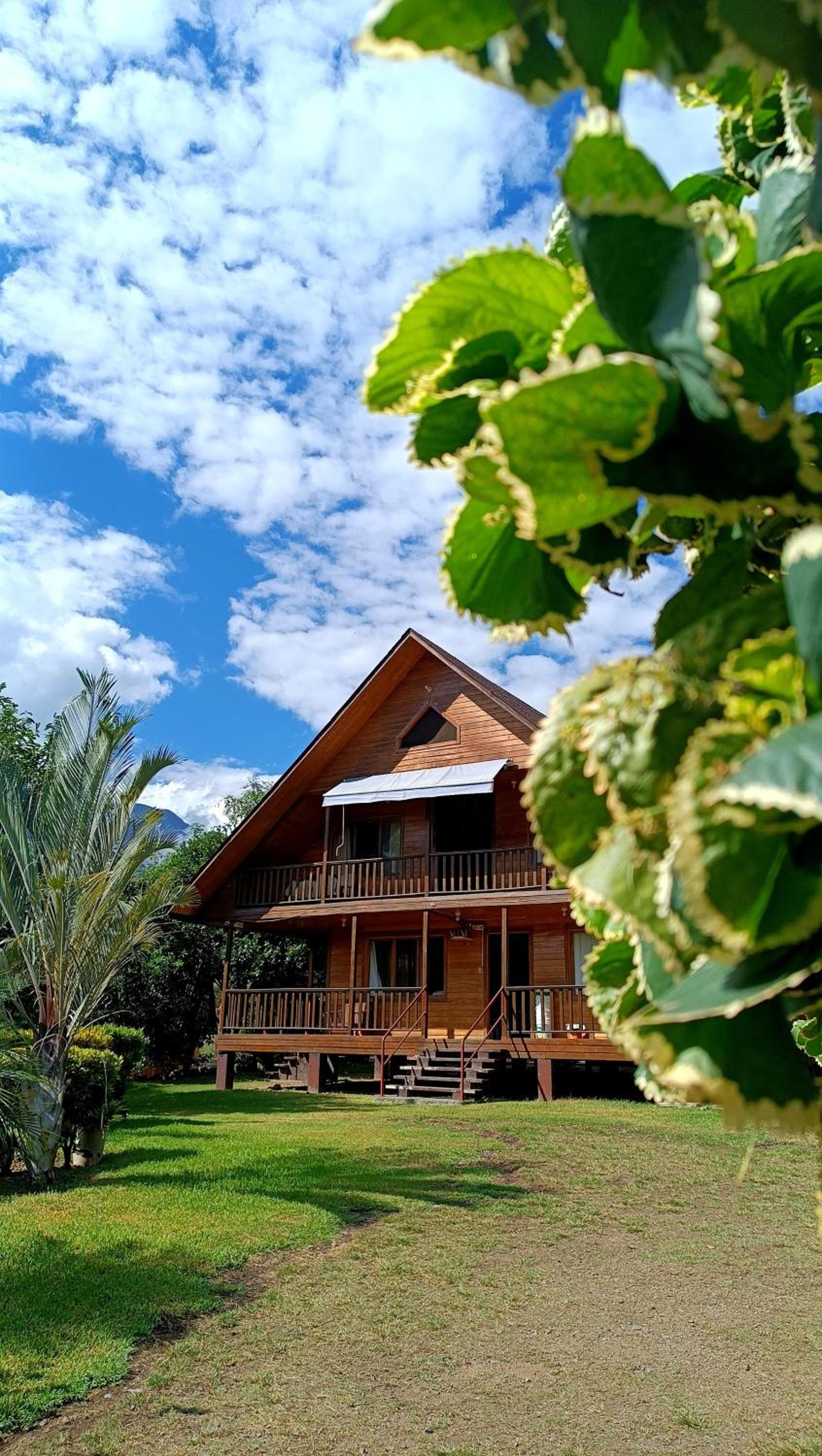 Ecolodge Don Felix