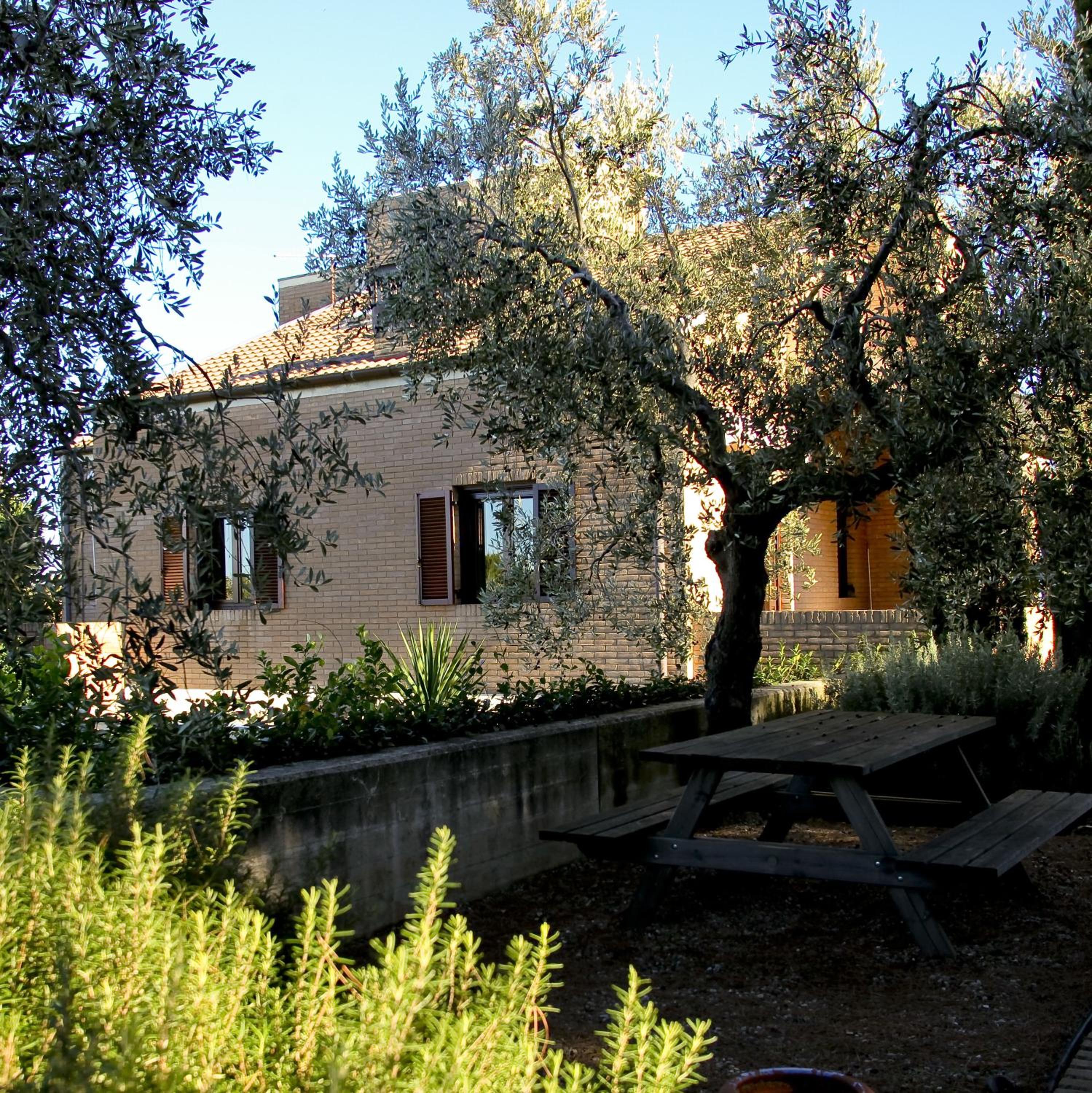 Photo 8