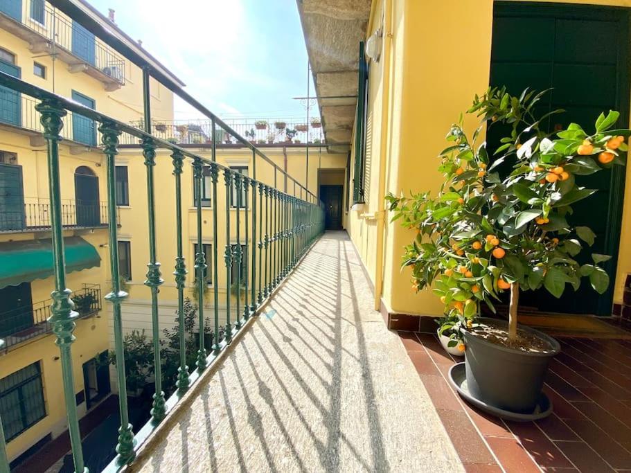 Casa Bocconi, Navigli, Porta Romana, Milano
