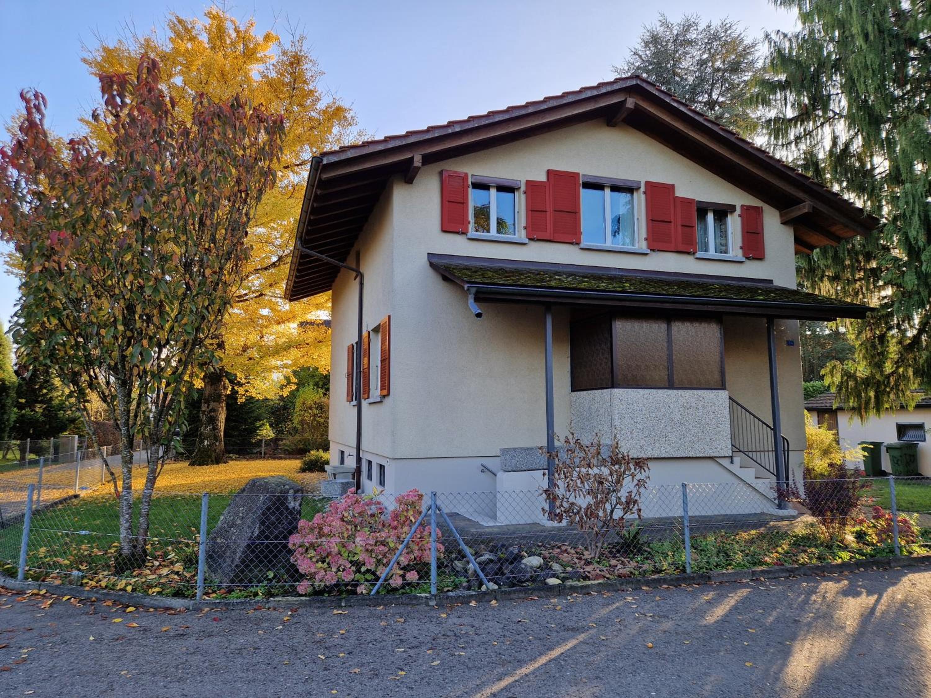 Swiss Chalet direkt am Thunersee