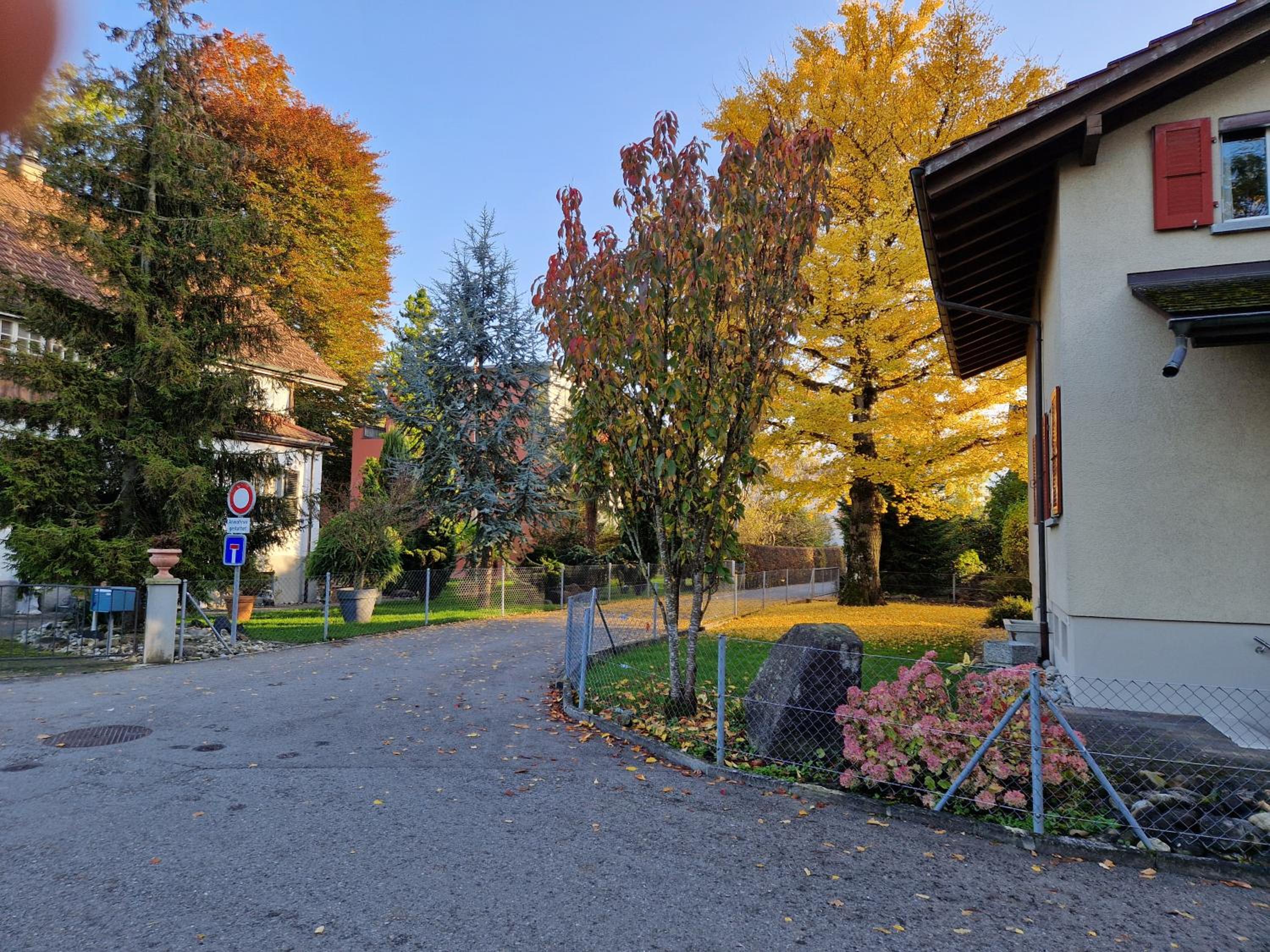 Swiss Chalet direkt am Thunersee