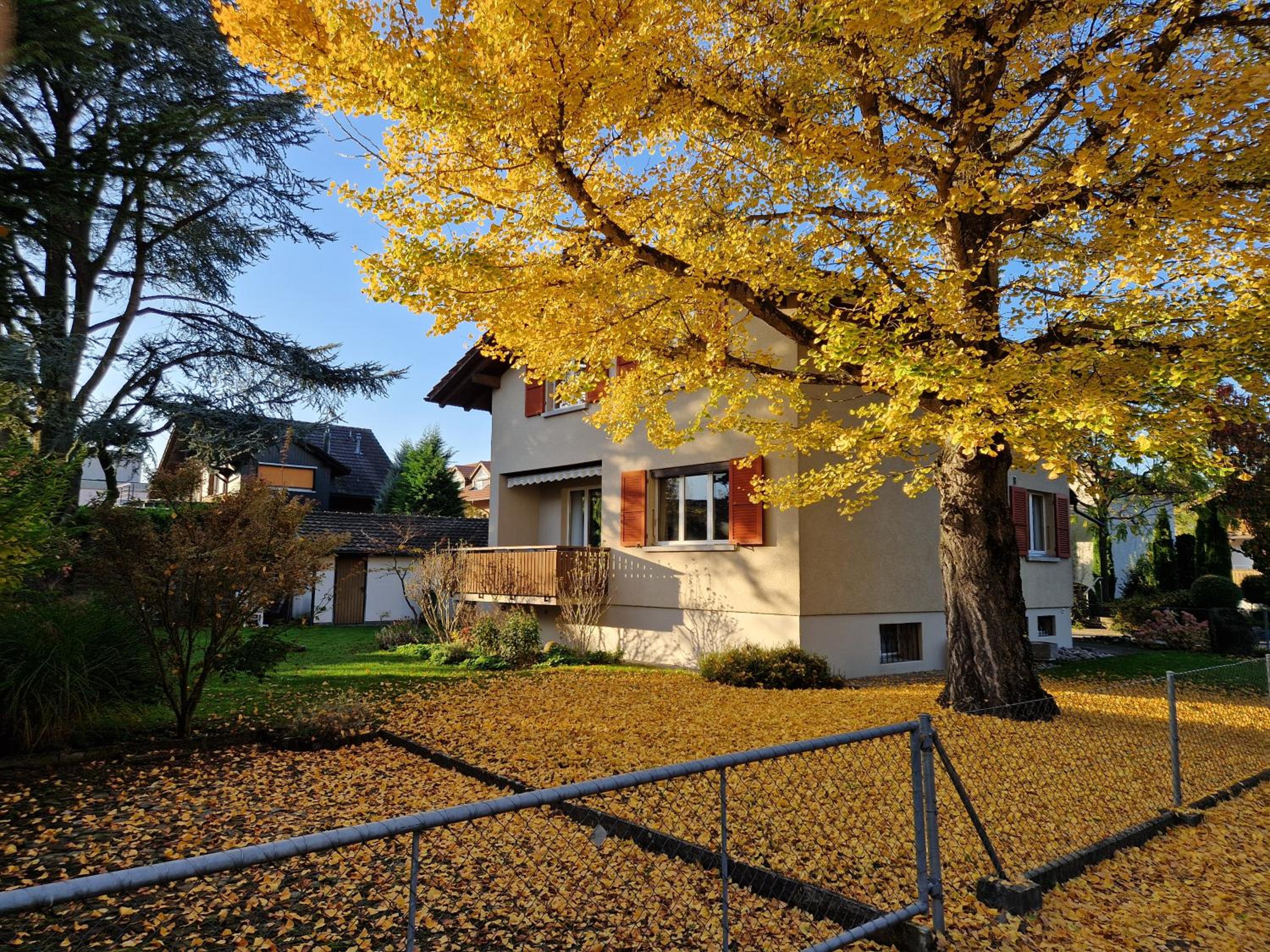 Swiss Chalet direkt am Thunersee