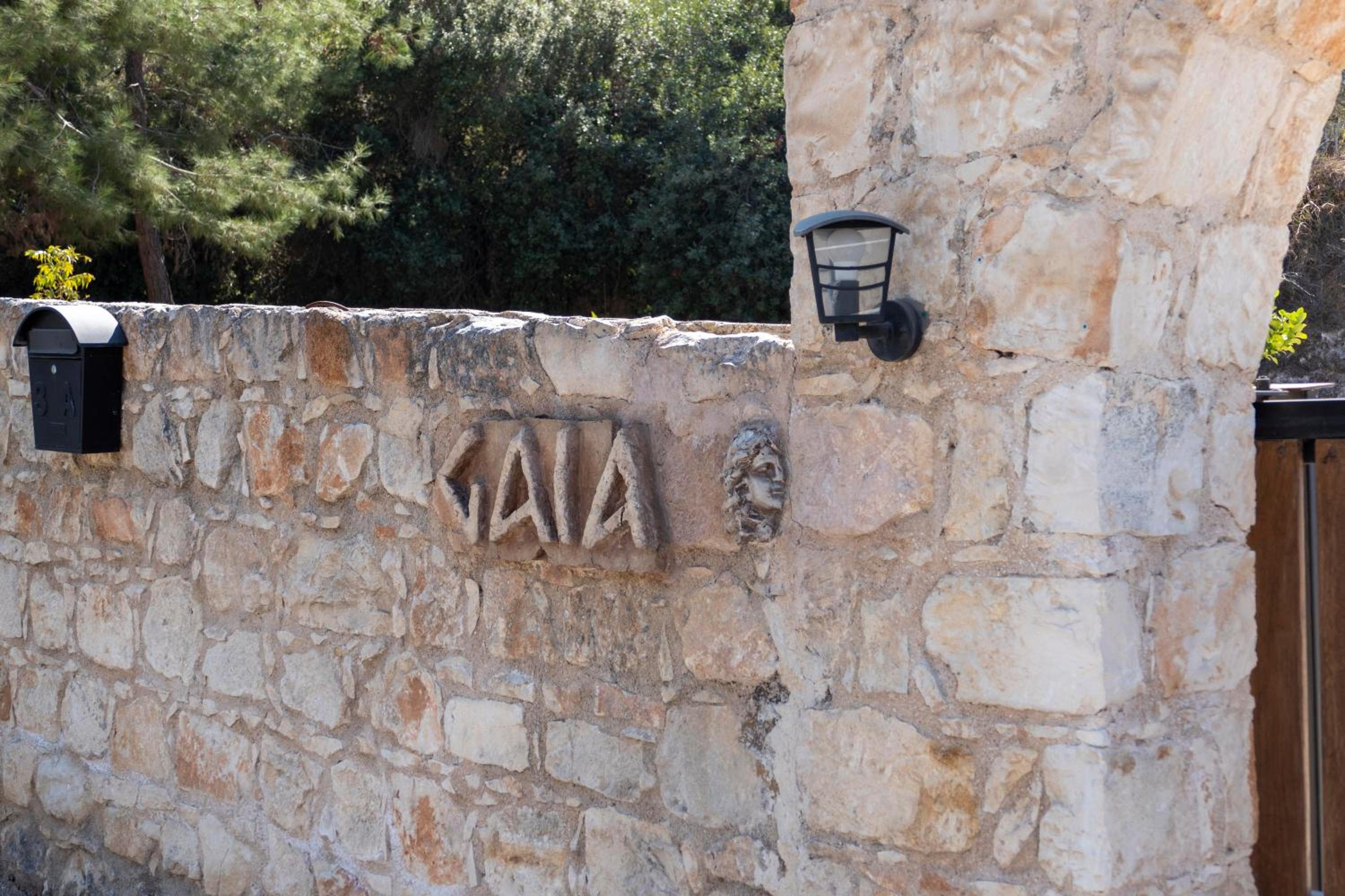 Photo 41