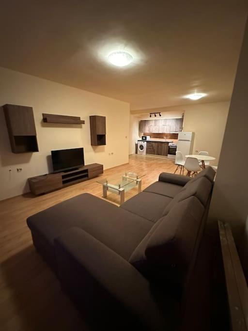 Nice, Spacious and Cozy Apartment