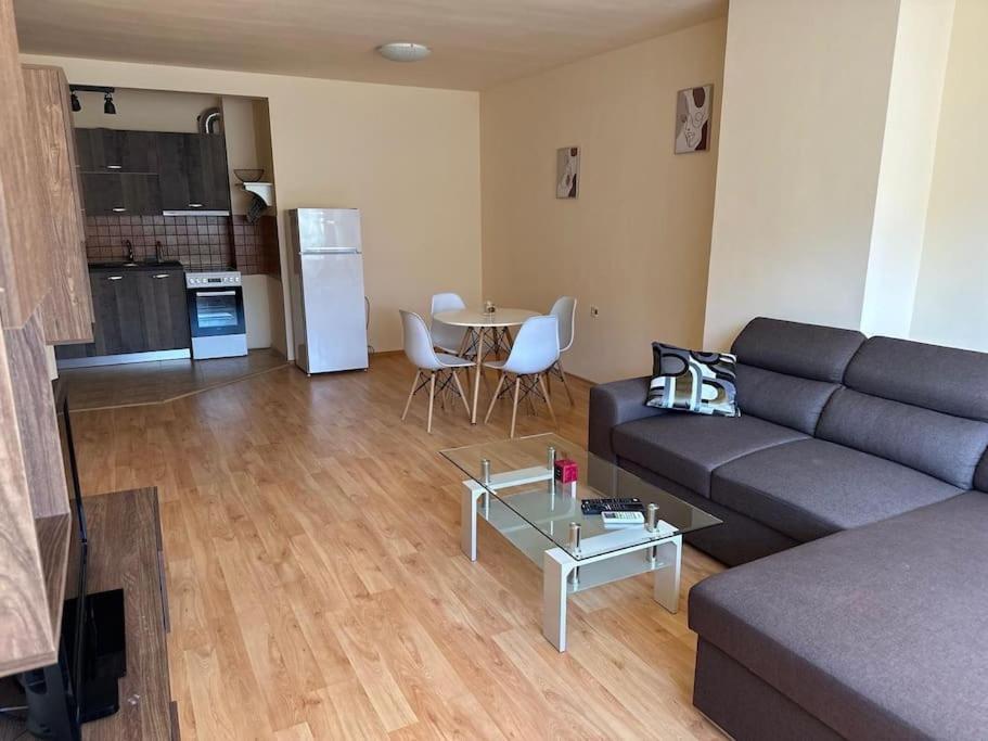 Nice, Spacious and Cozy Apartment