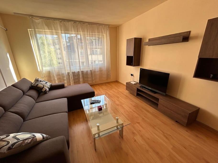 Nice, Spacious and Cozy Apartment