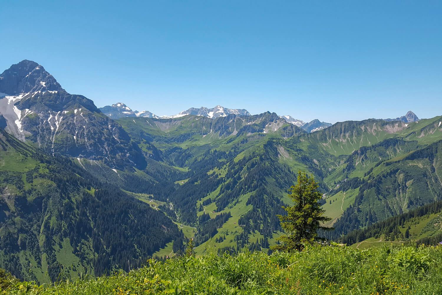 Naturzeithof