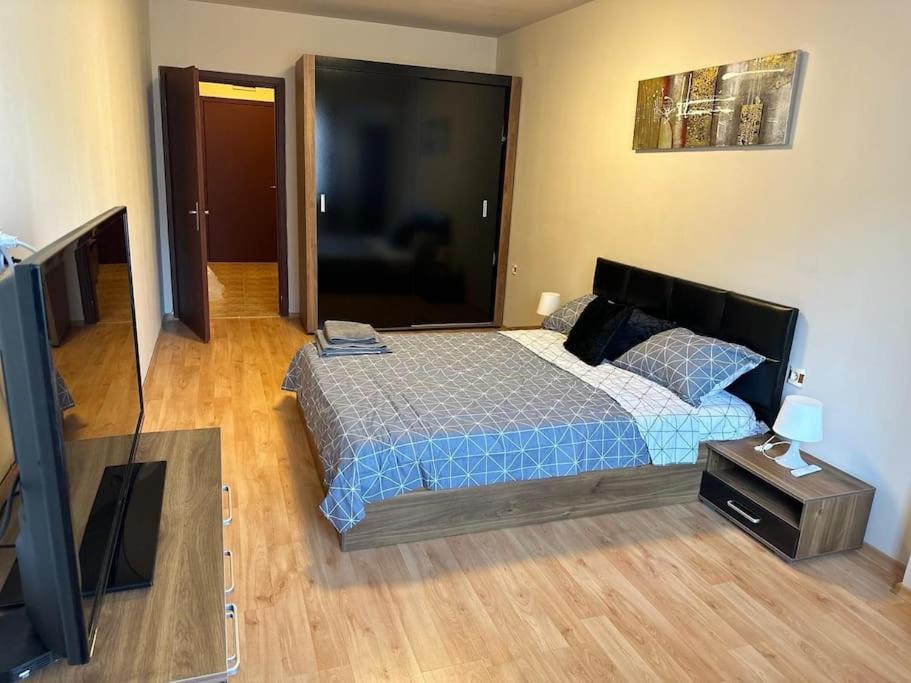 Nice, Spacious and Cozy Apartment