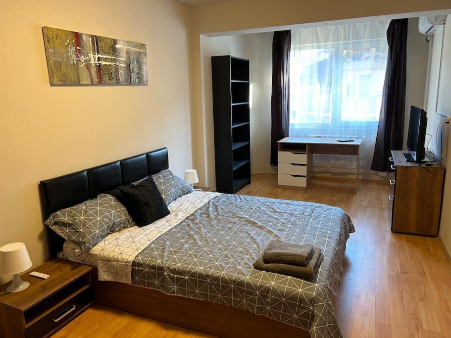 Nice, Spacious and Cozy Apartment