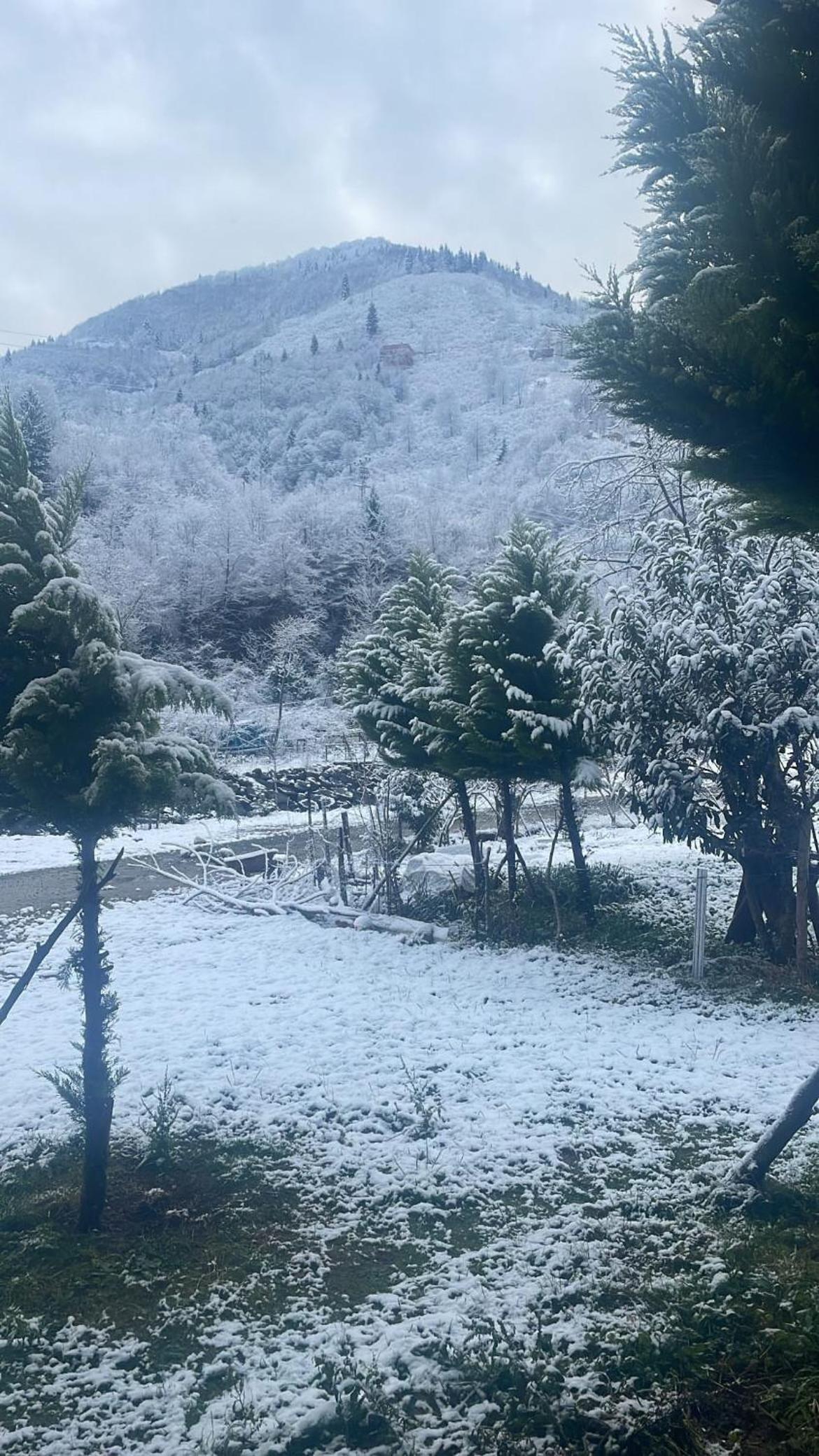 Yeşil ve huzur dolu bir daire view 4