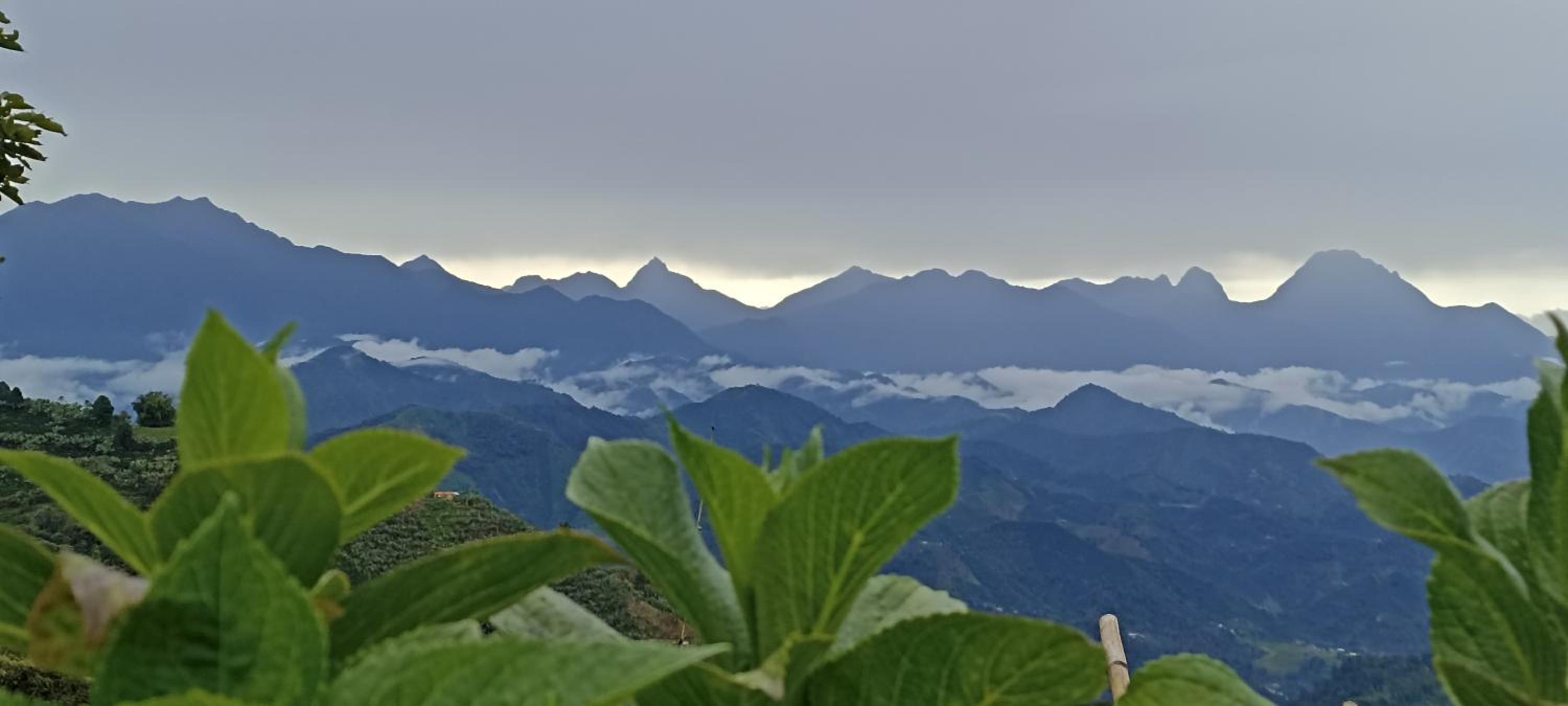 Finca Carrizales