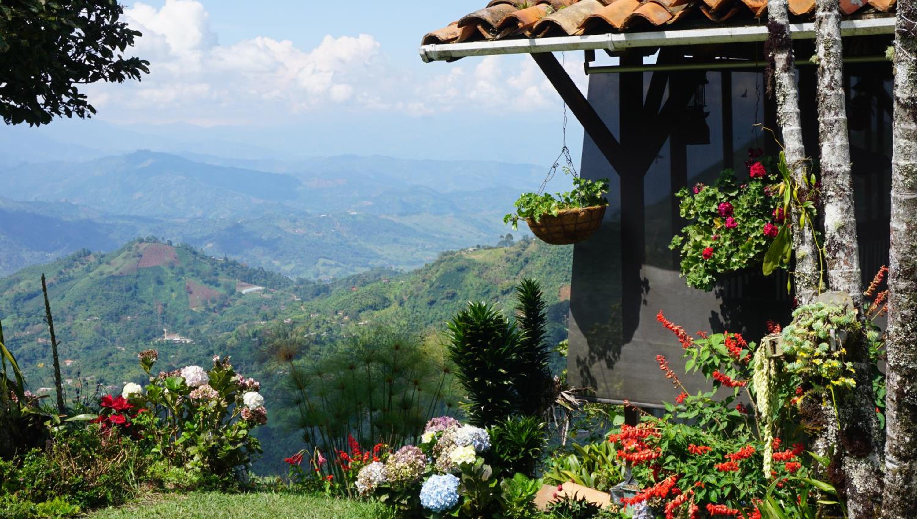 Finca Carrizales