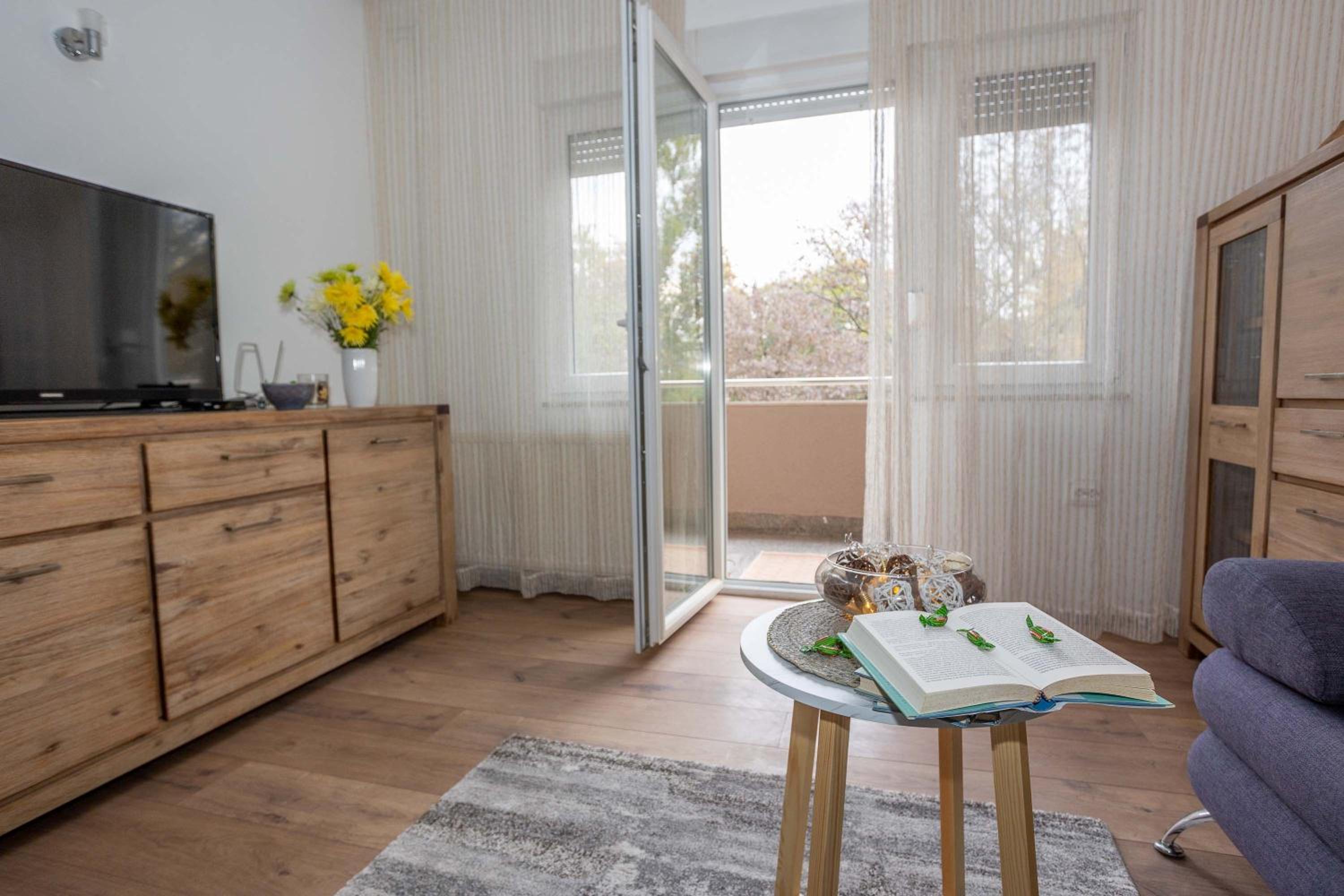 Apartman Park view 3