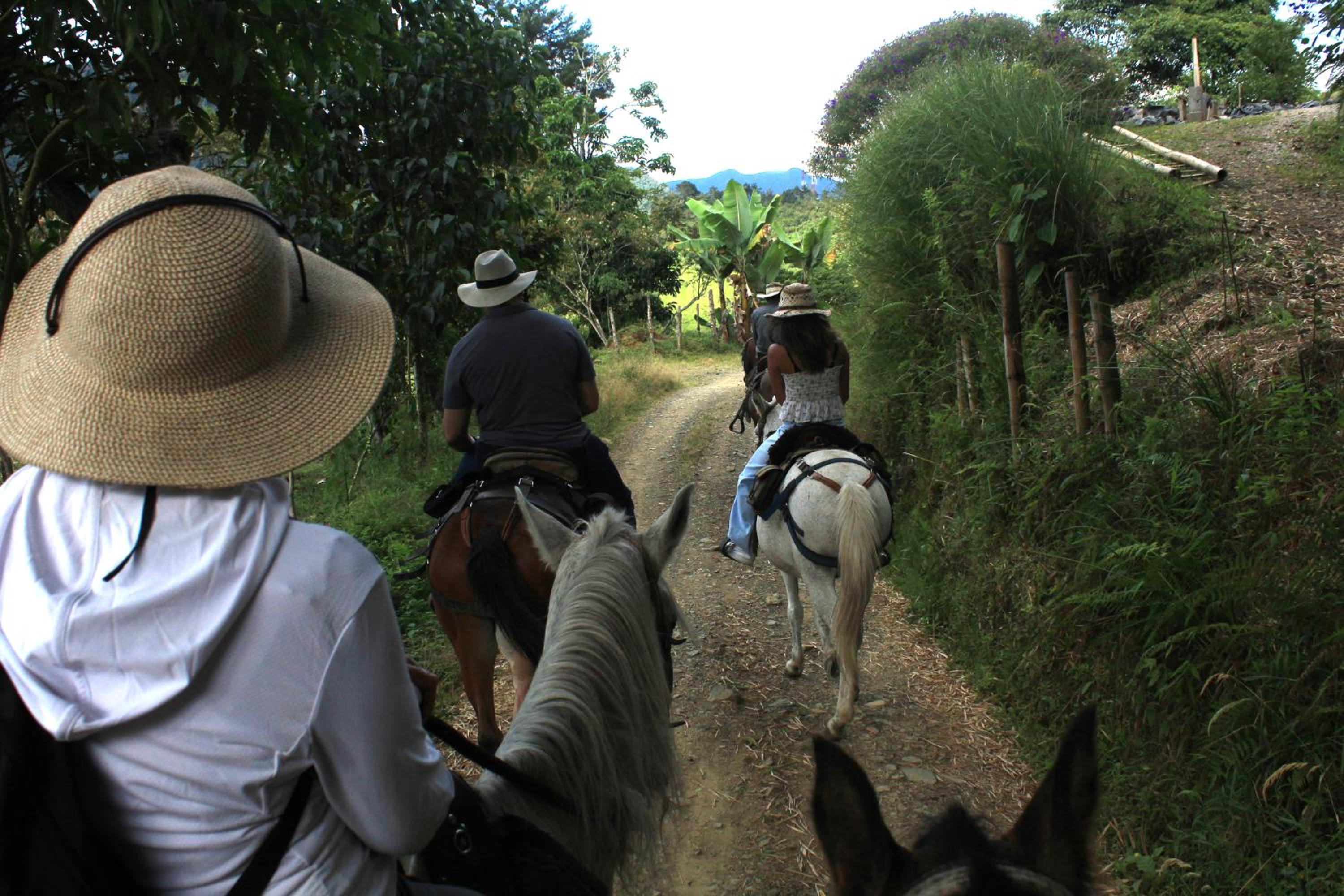 Finca Carrizales