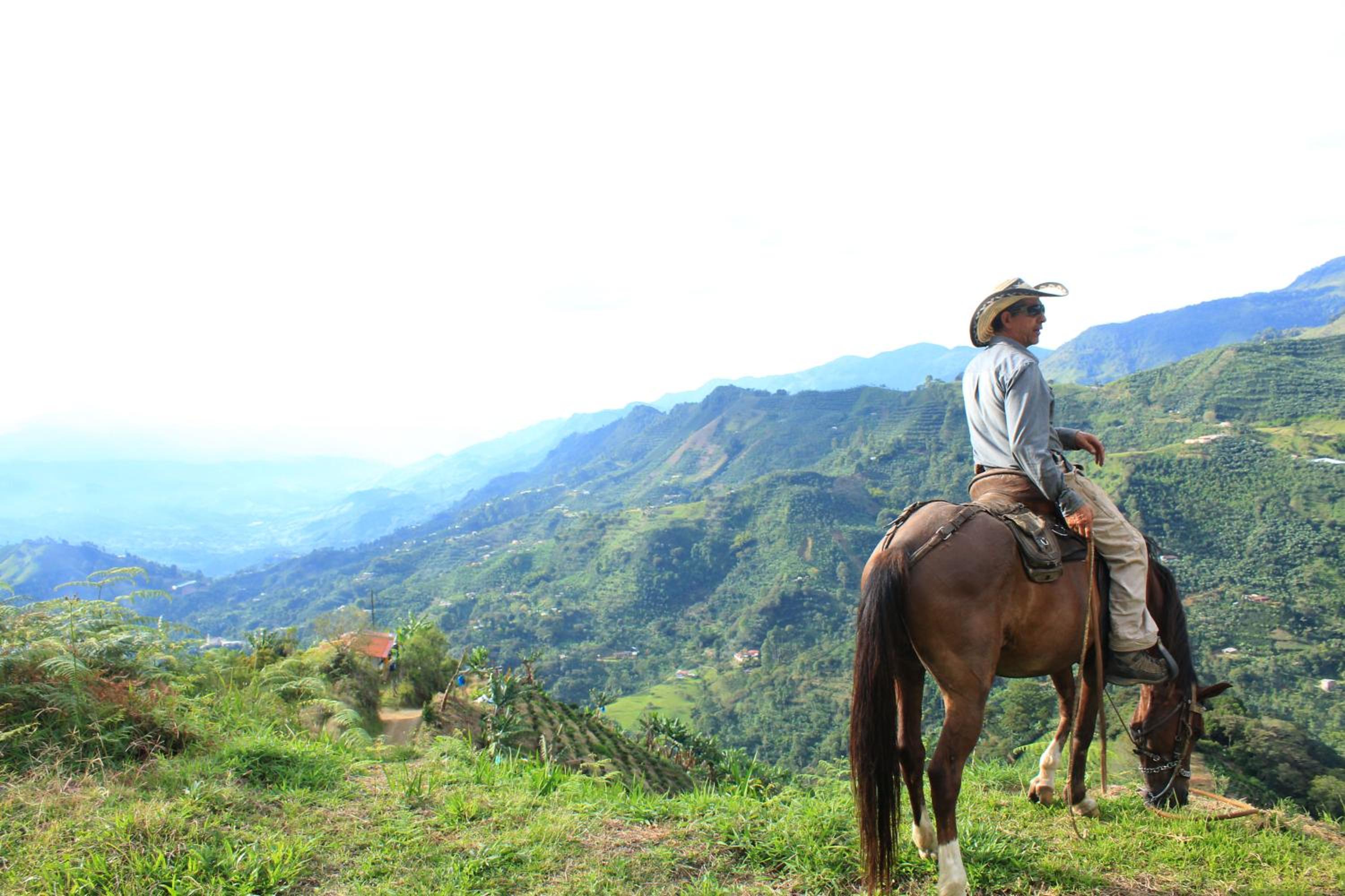 Finca Carrizales