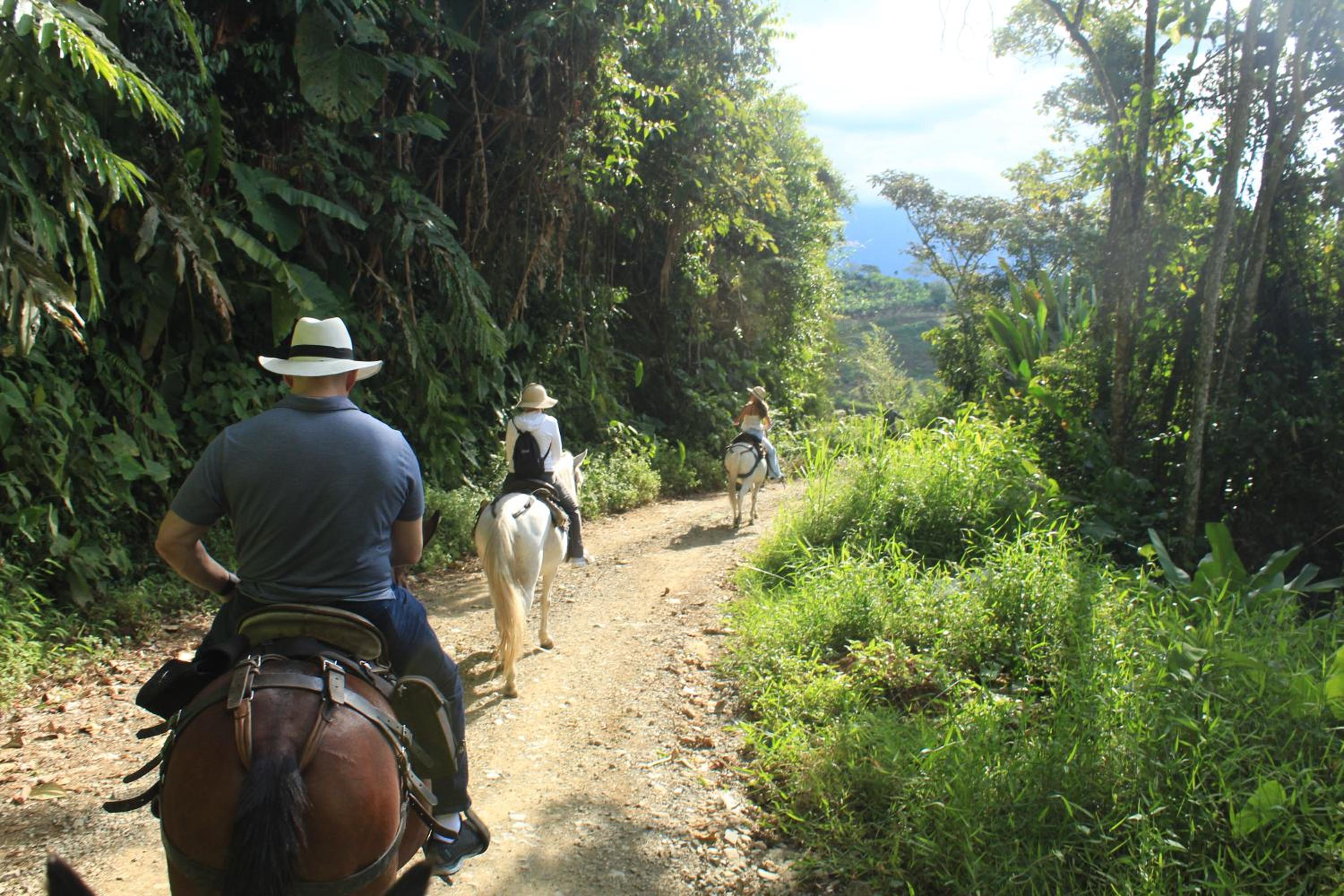 Finca Carrizales