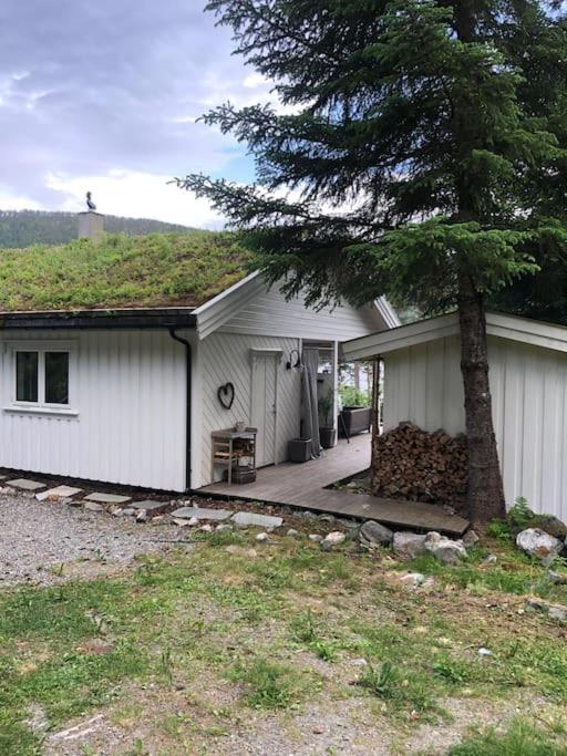 PARADISET - a beautiful pearl 1,45 minutes from Trondheim view 5