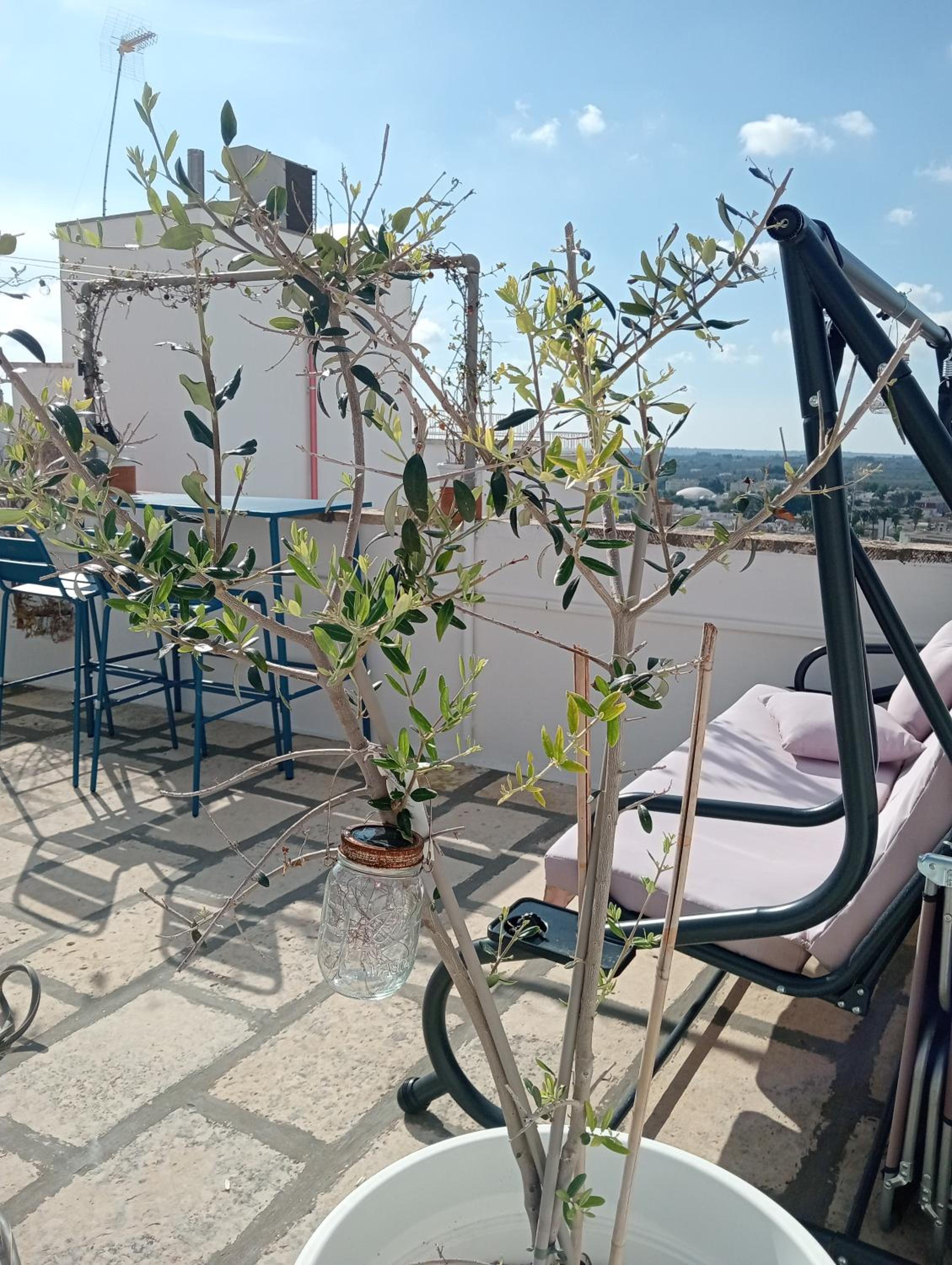 Casa Felicita Shabby Lux photo 2