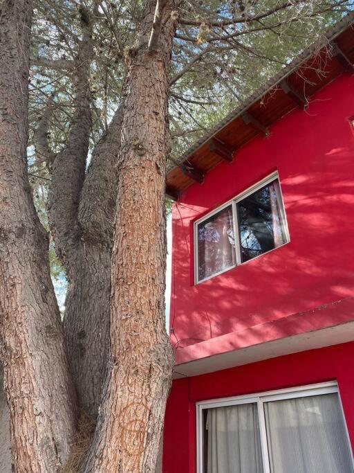 Casa Pino y Piedra